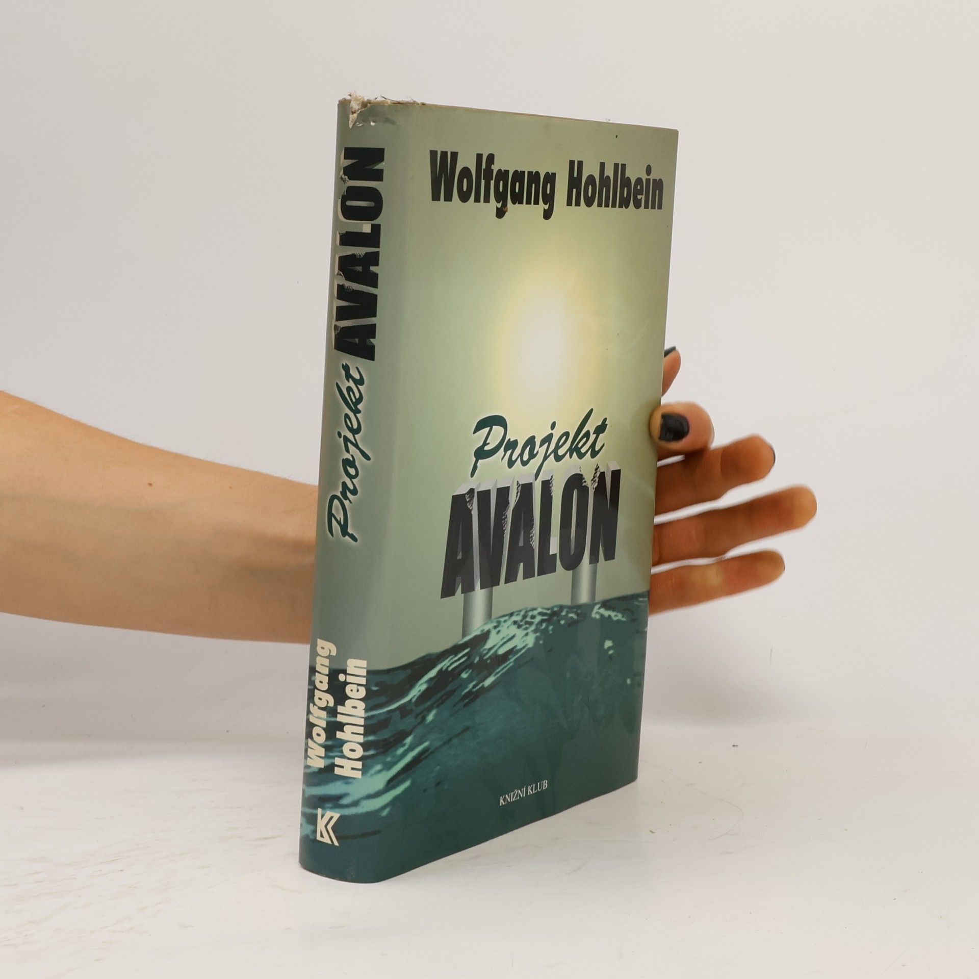 Wolfgang Hohlbein Projekt Avalon