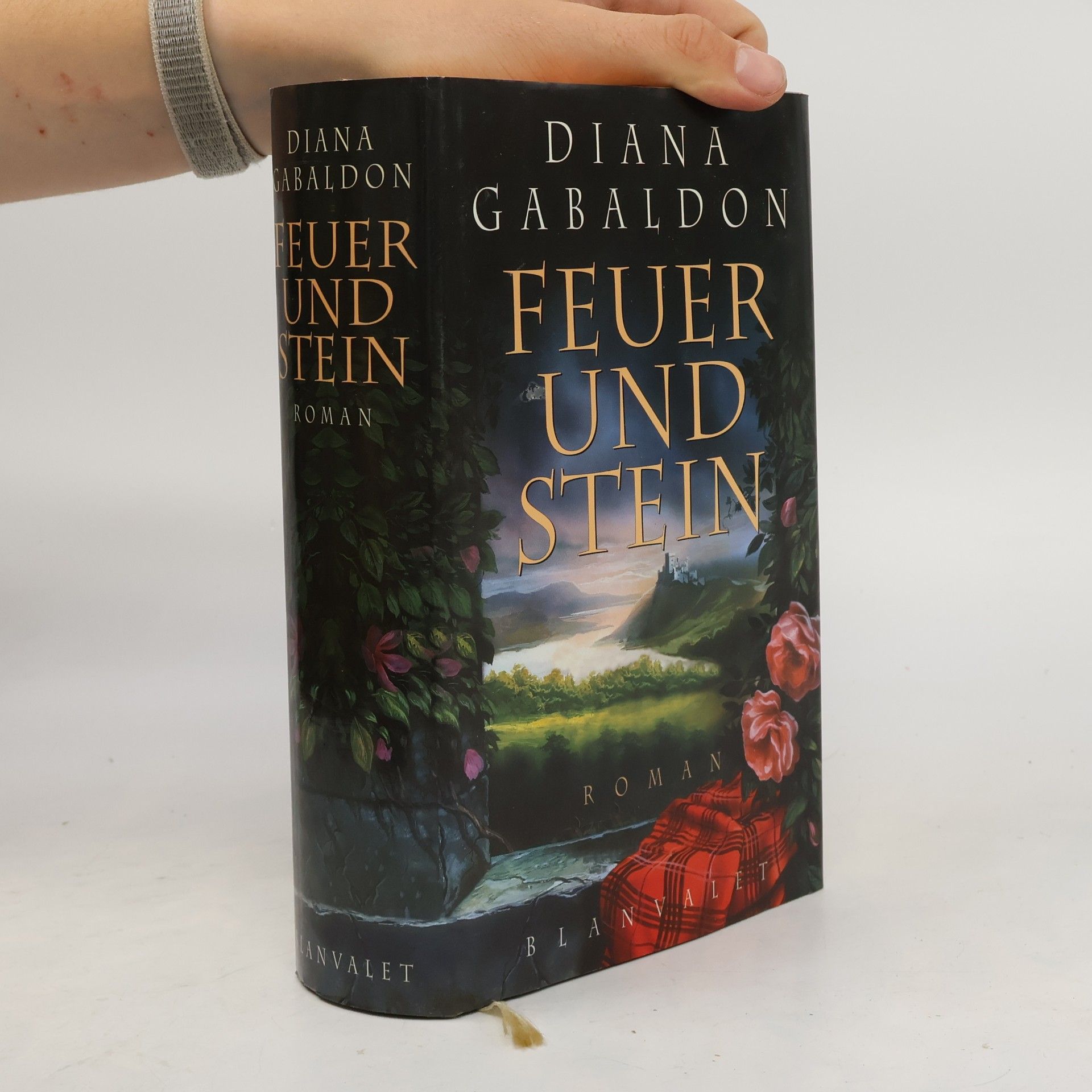 Diana Gabaldon Feuer und Stein