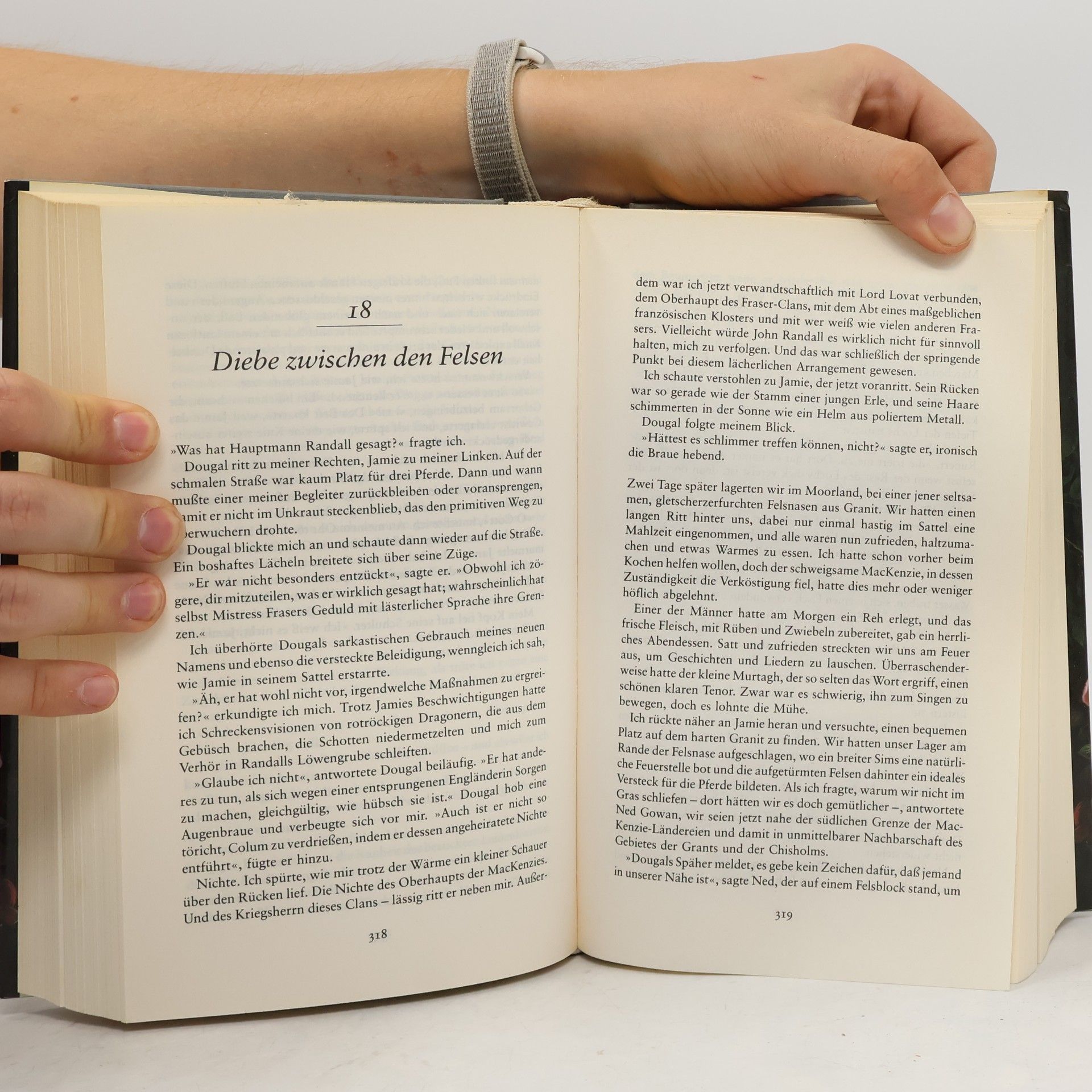 Diana Gabaldon Feuer und Stein