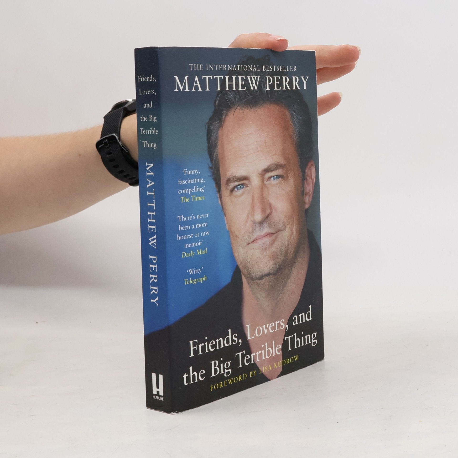 Matthew Perry Friends, Lovers and the Big Terrible Thing