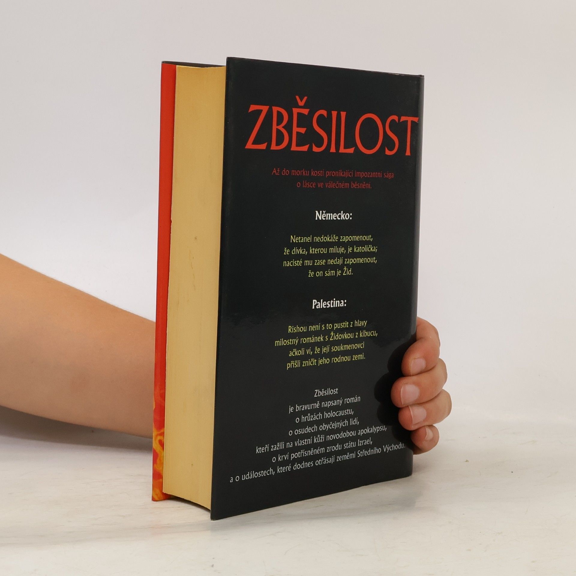 Colin Falconer Zběsilost