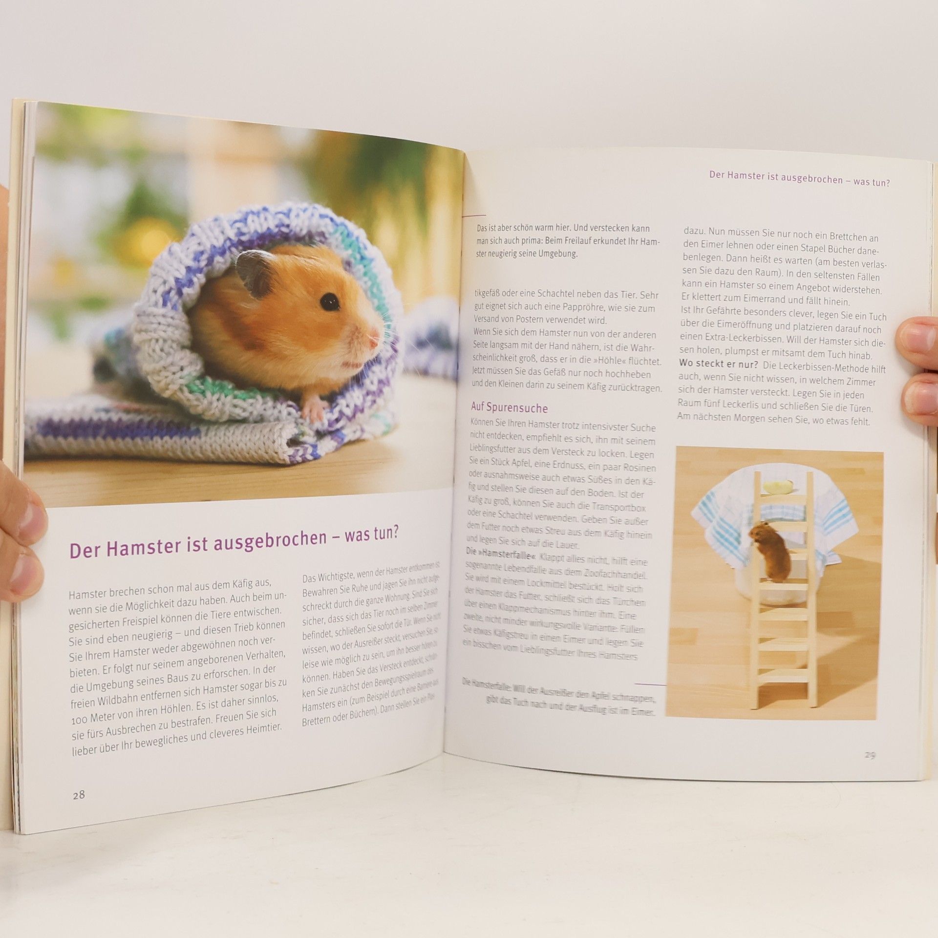 Peter Fritzsche Hamster