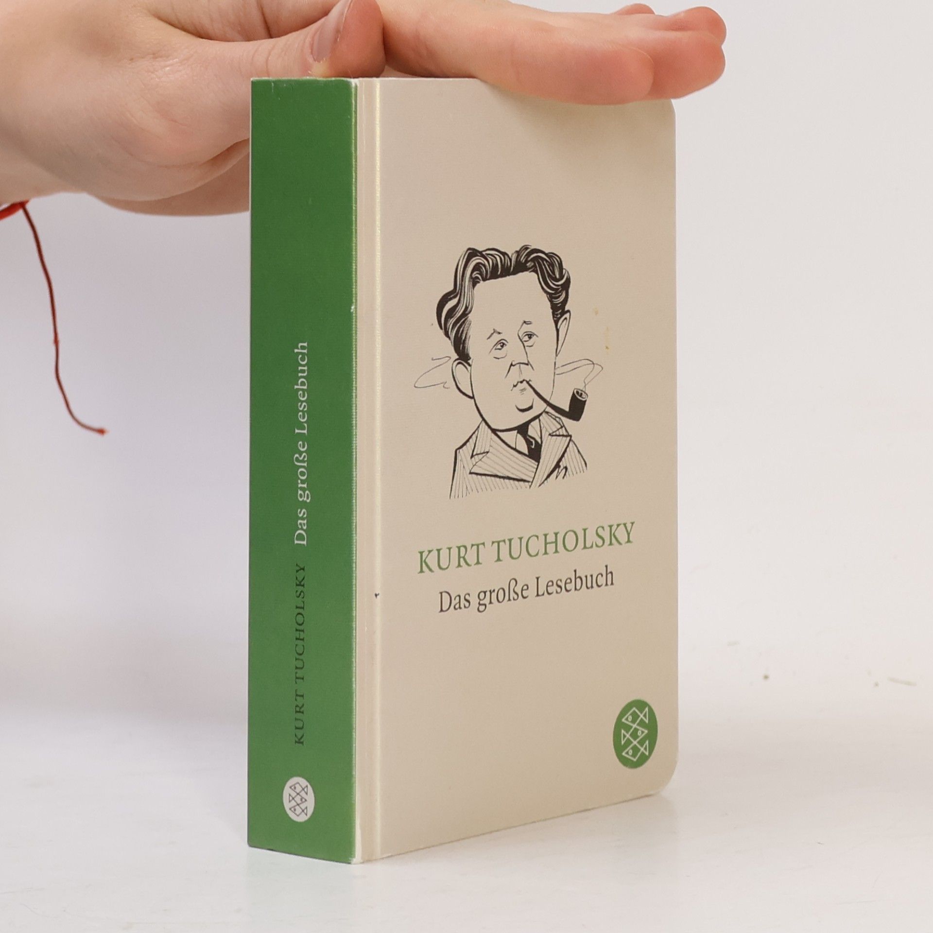 Kurt Tucholsky Das große Lesebuch