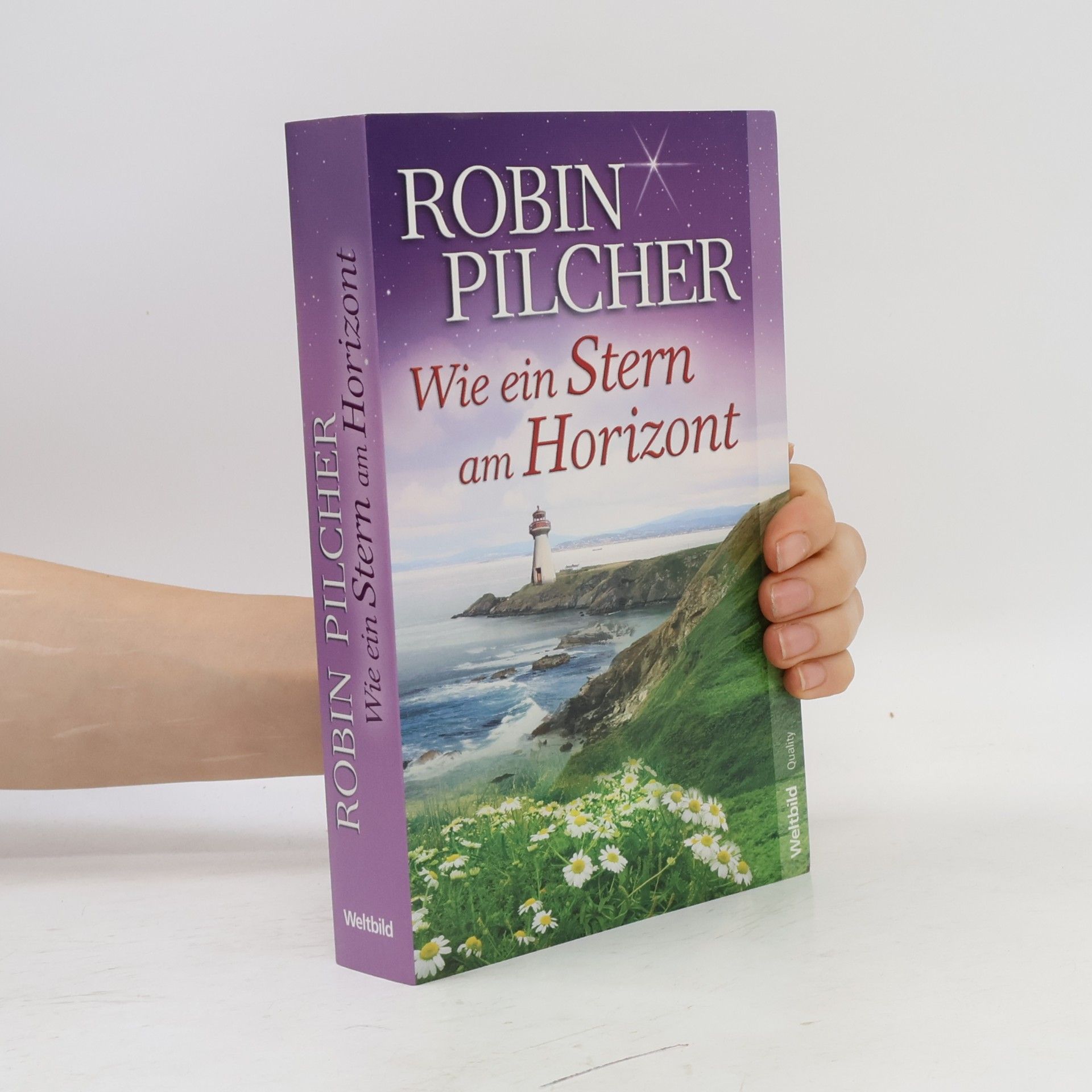 Robin Pilcher Wie ein Stern am Horizont