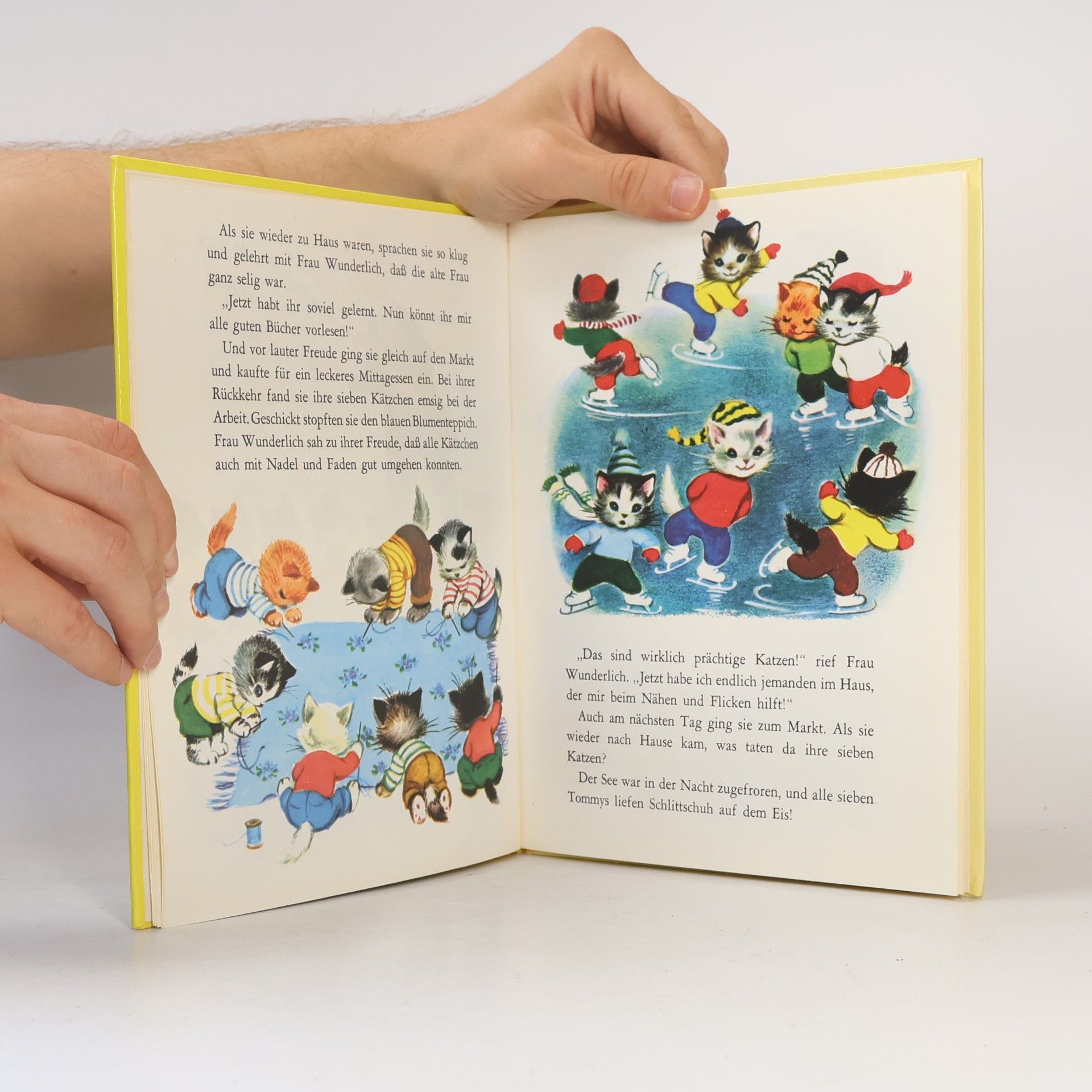 Wallace C. Wadsworth Ein Daxi Buch - 2: Sieben artige Katzen