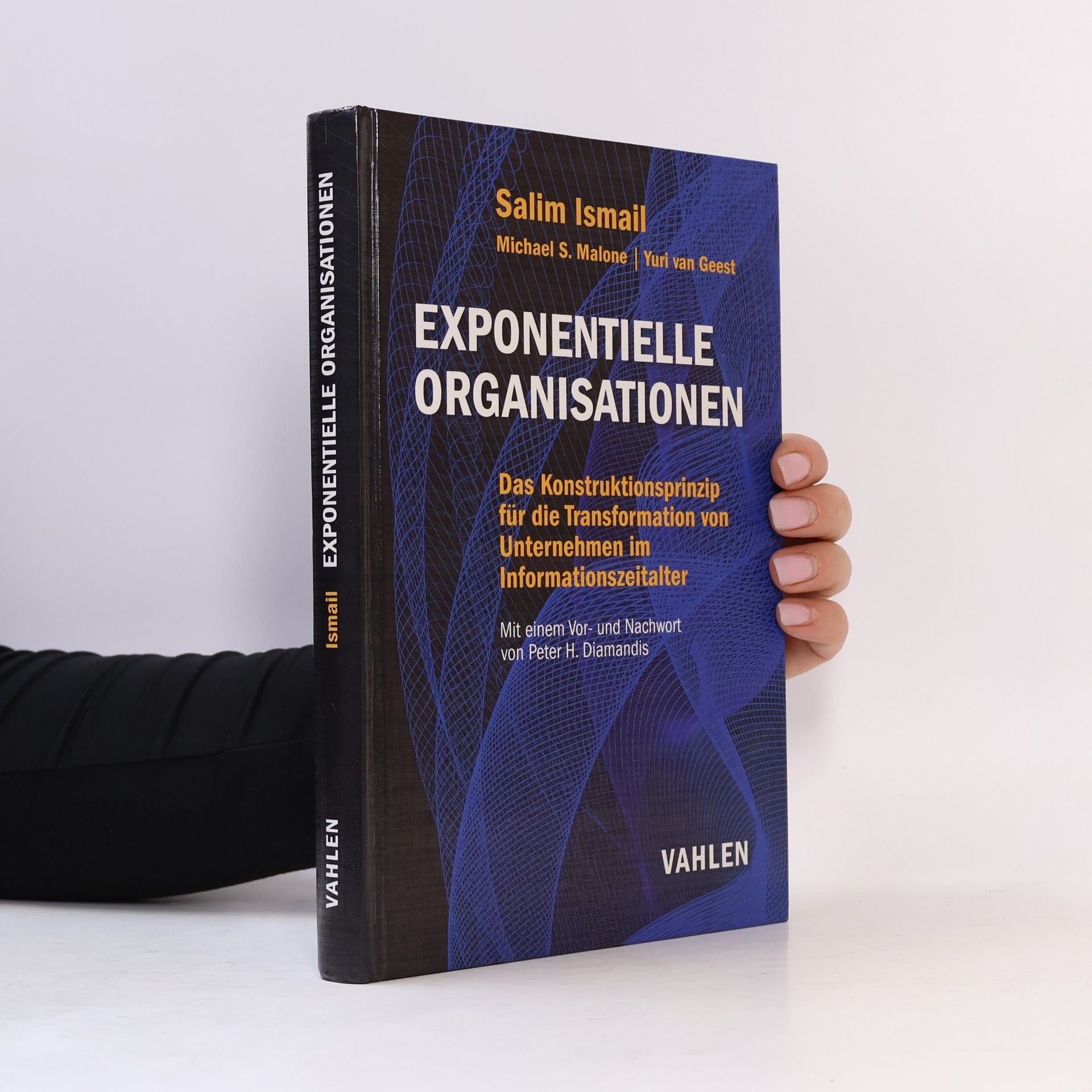 Salim Ismail Exponentielle Organisationen