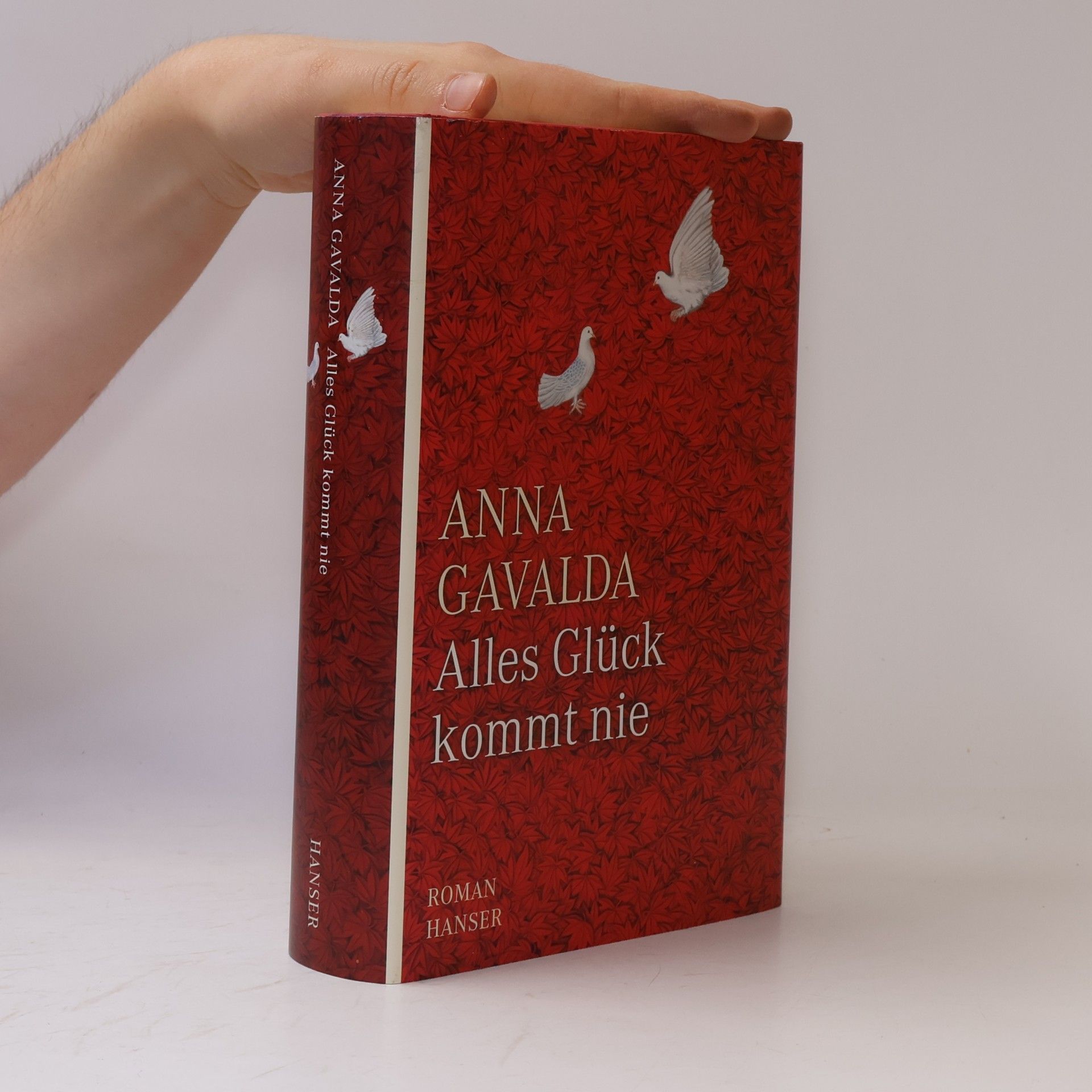 Anna Gavalda Alles Glück kommt nie