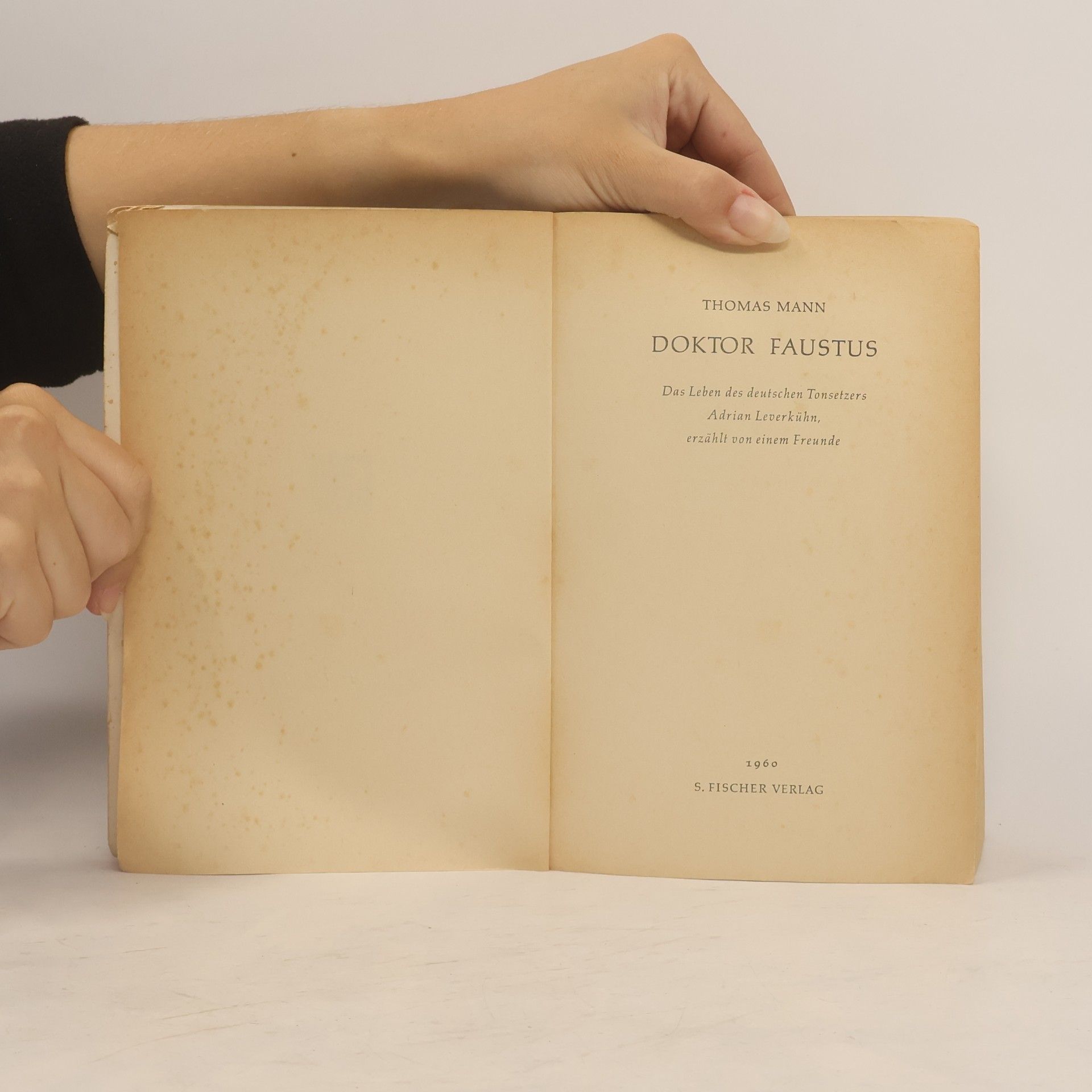 Thomas Mann Doktor Faustus