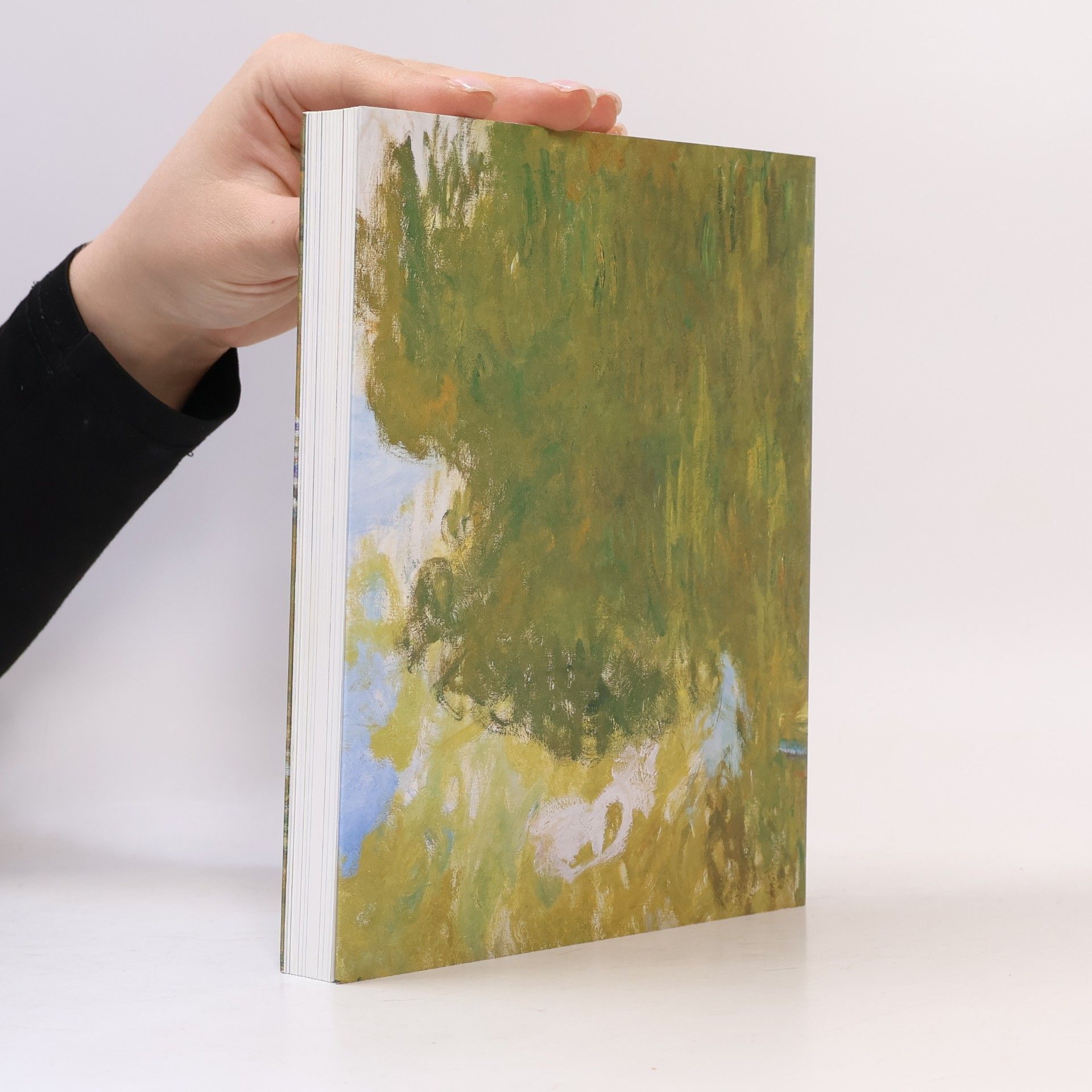 Klaus Albrecht Schröder Monet To Picasso. Masterworks From The Albertina. The Batliner Collection