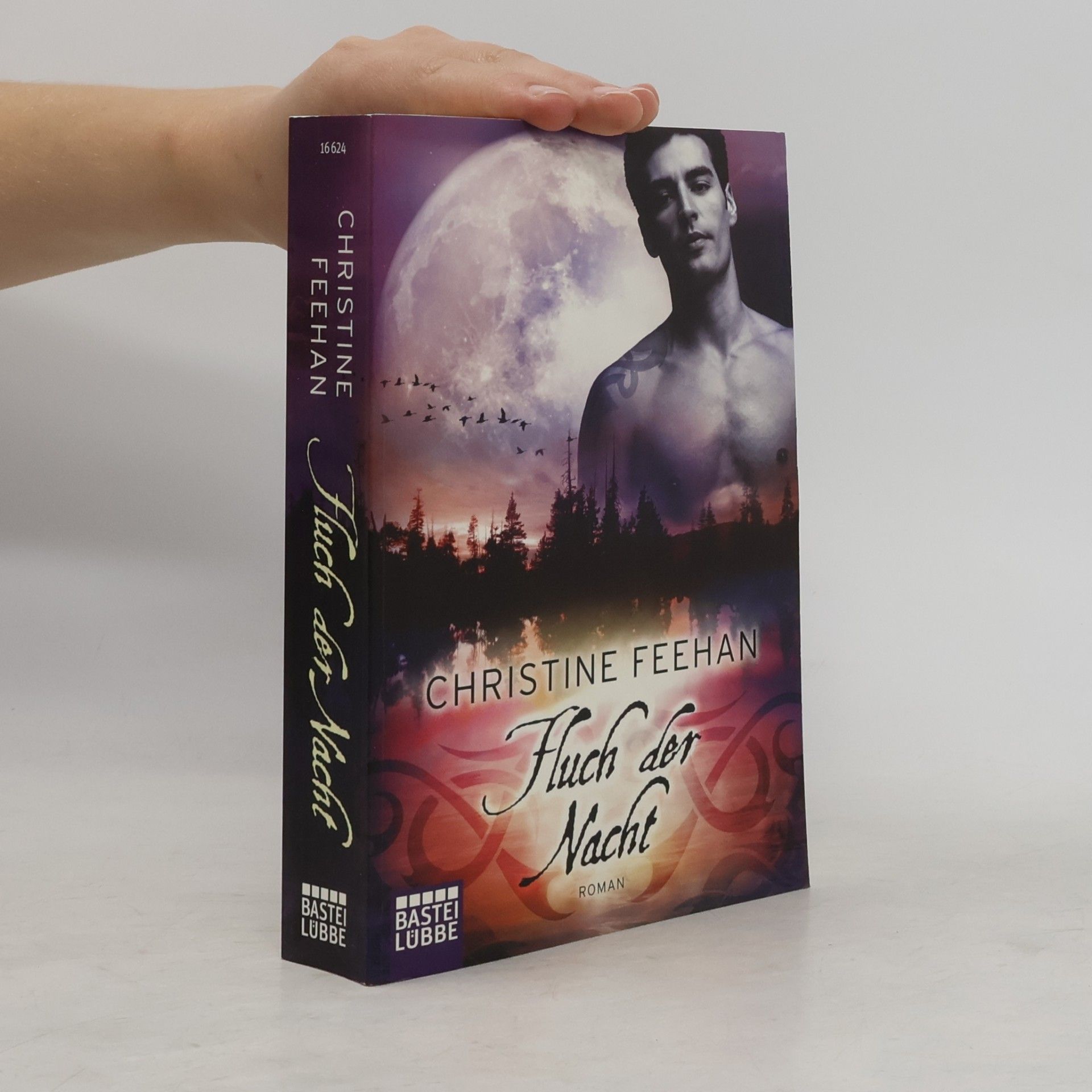 Christine Feehan Fluch der Nacht