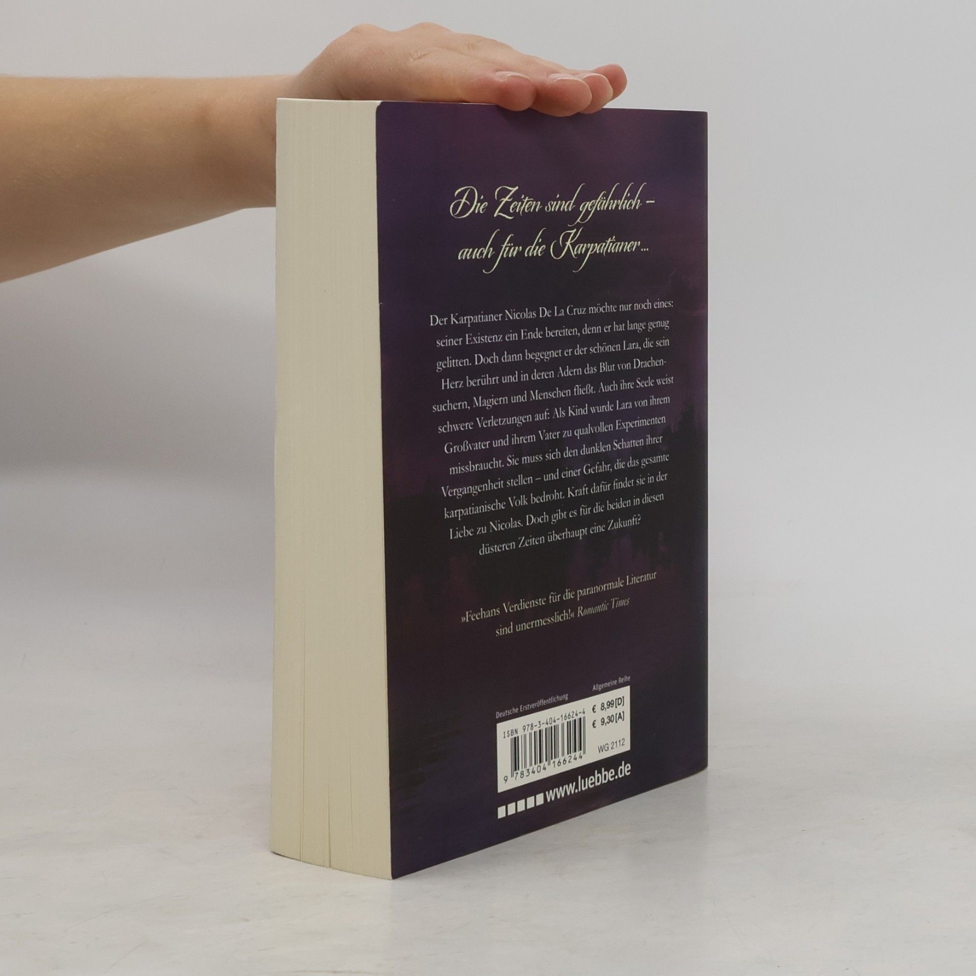 Christine Feehan Fluch der Nacht