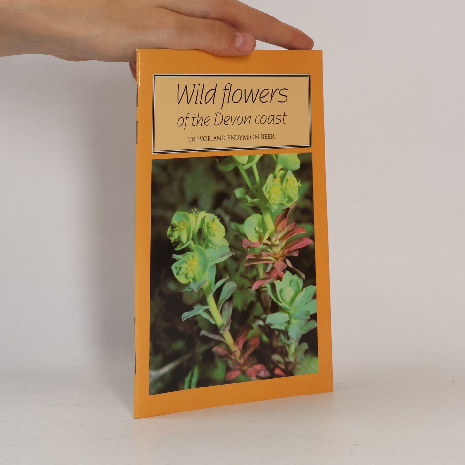 Tor Mark Paperbacks: Wild Flowers of the Devon Coast