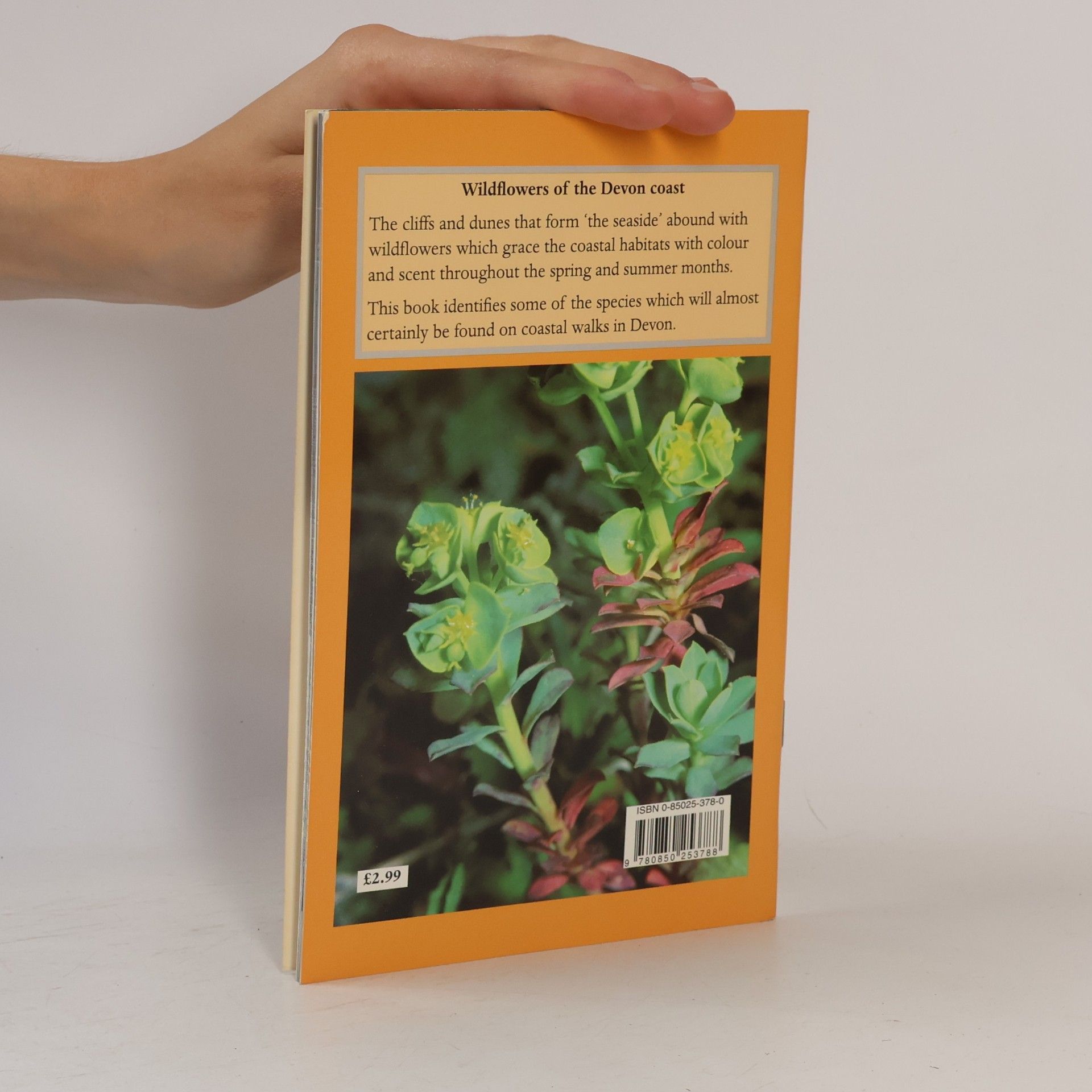Trevor Beer Tor Mark Paperbacks: Wild Flowers of the Devon Coast