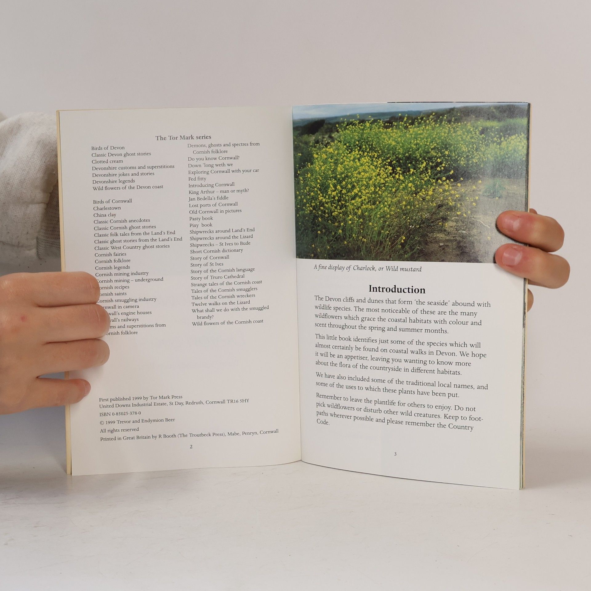 Trevor Beer Tor Mark Paperbacks: Wild Flowers of the Devon Coast