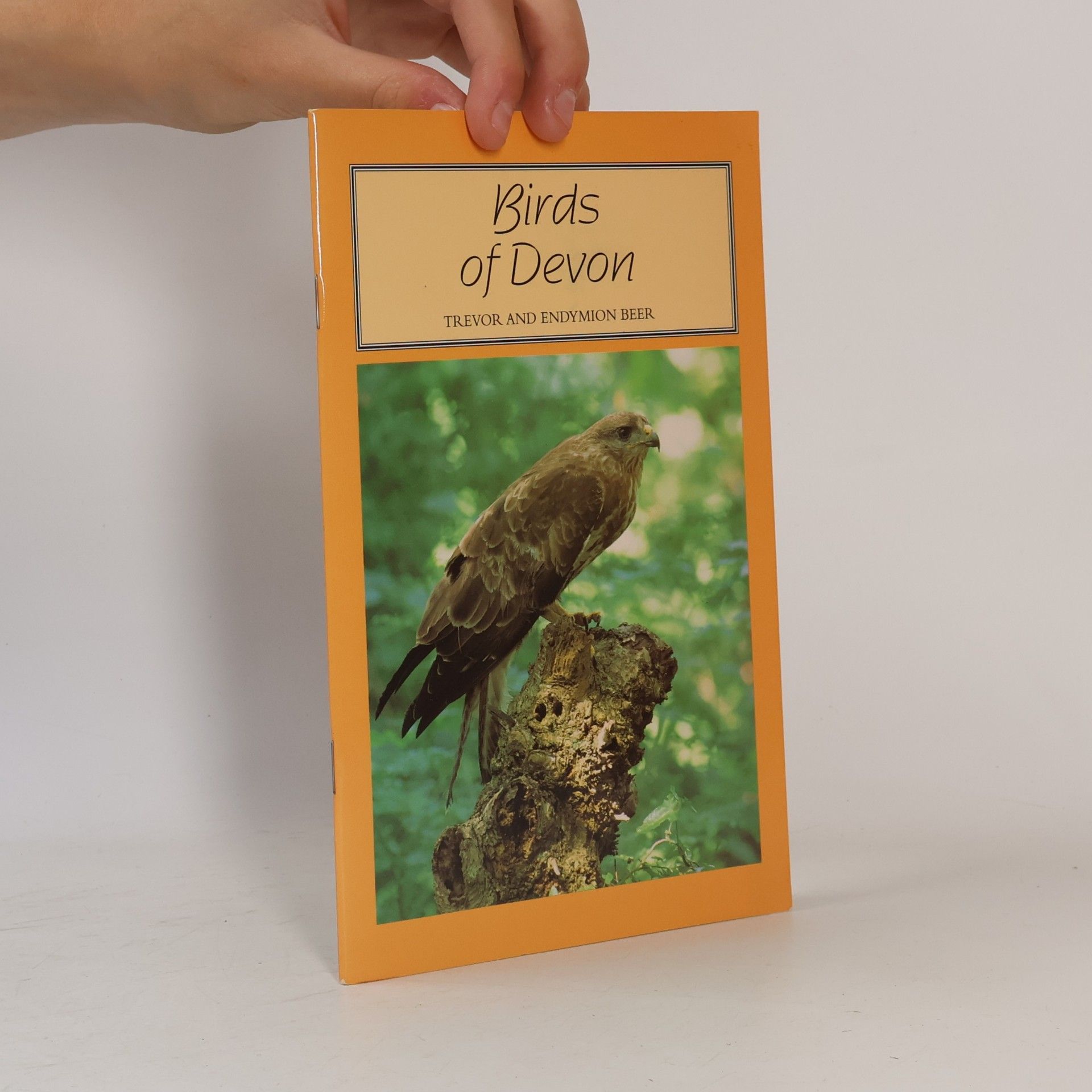 Endymion Beer Tor Mark Paperbacks: Birds of Devon