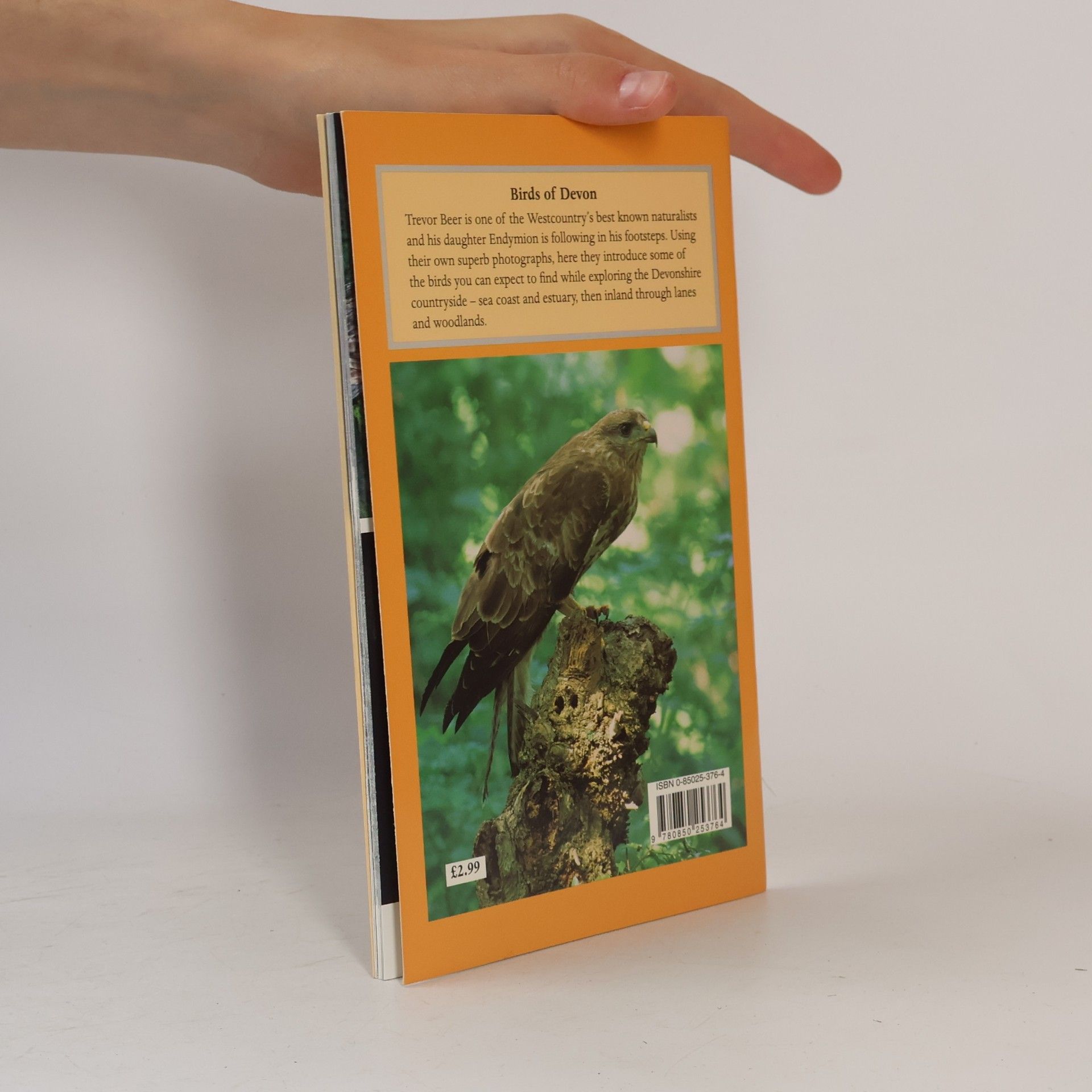 Trevor Beer Tor Mark Paperbacks: Birds of Devon