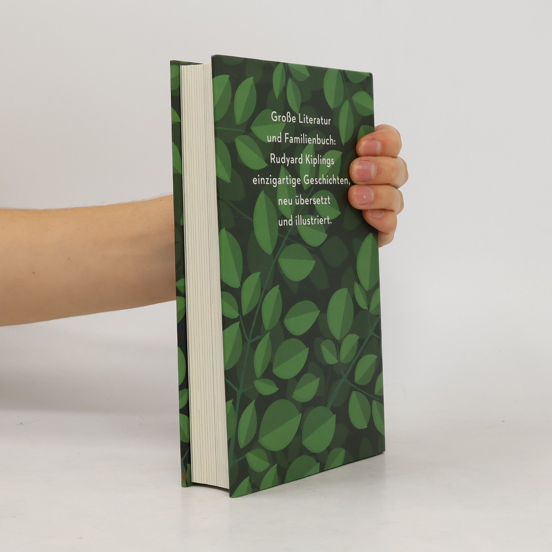 Rudyard Kipling Das Dschungelbuch 1 & 2