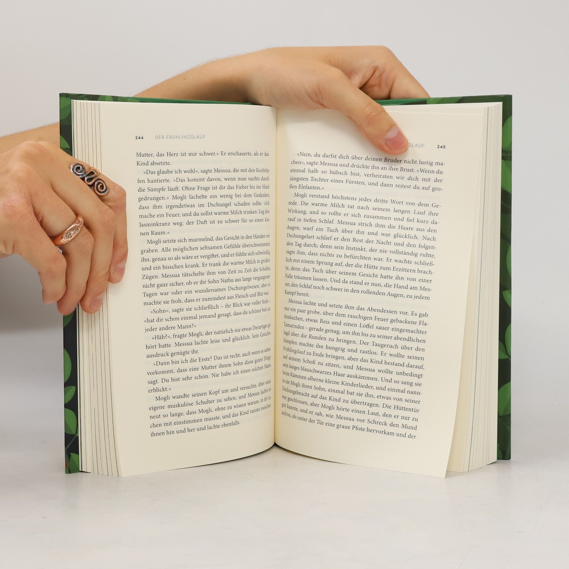 Rudyard Kipling Das Dschungelbuch 1 & 2
