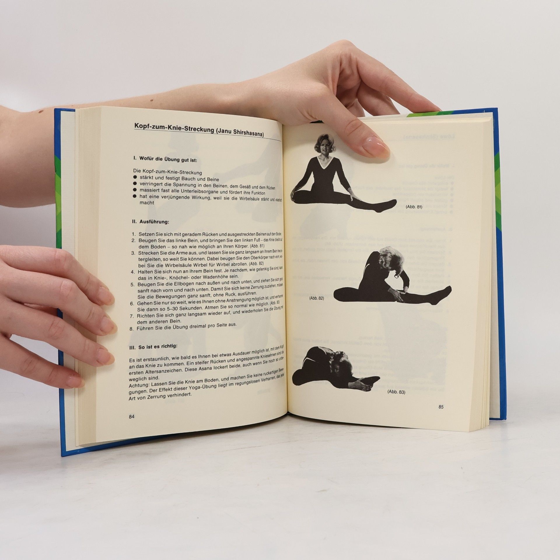 Kareen Zebroff Yoga für Jeden