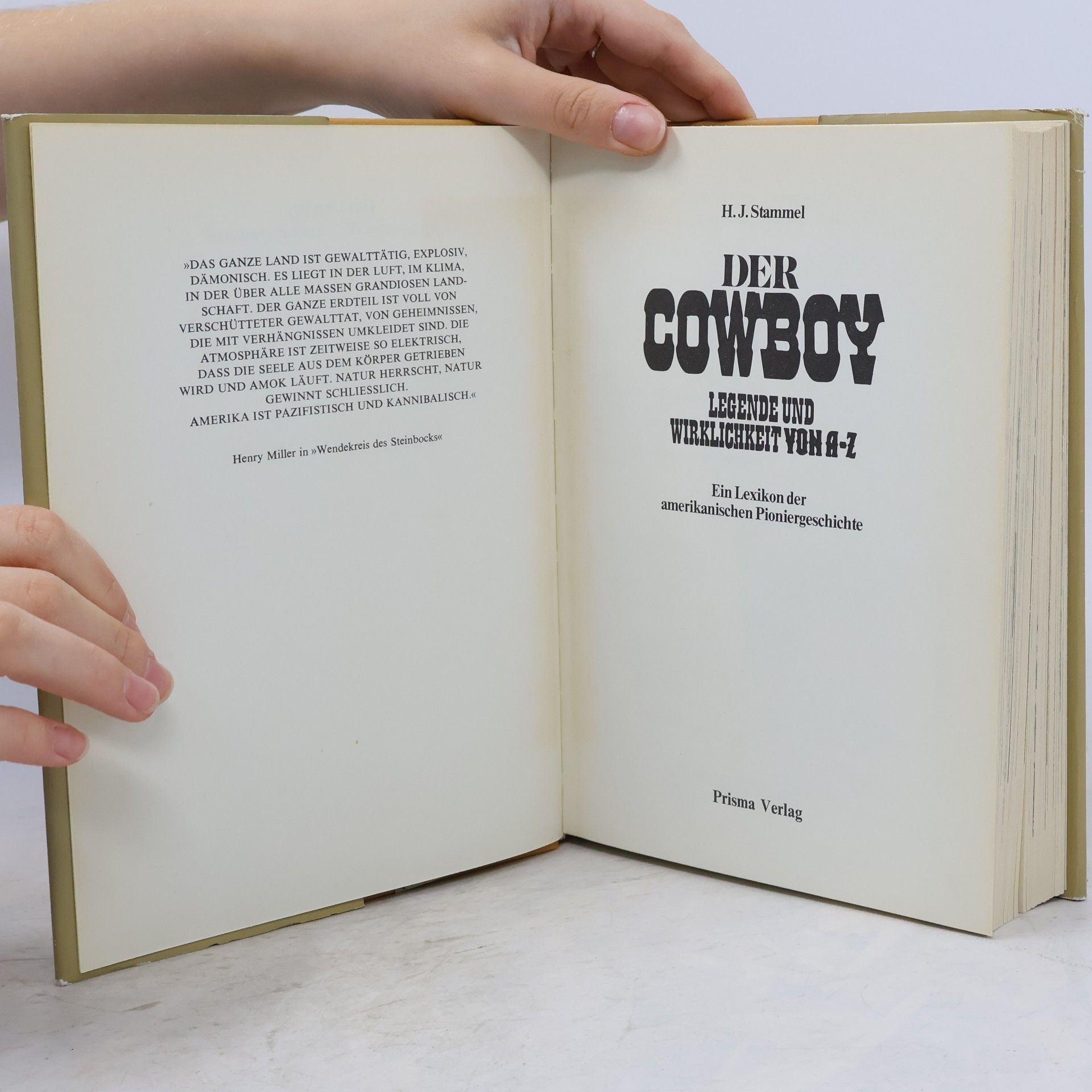 H. J. Stammel Der Cowboy
