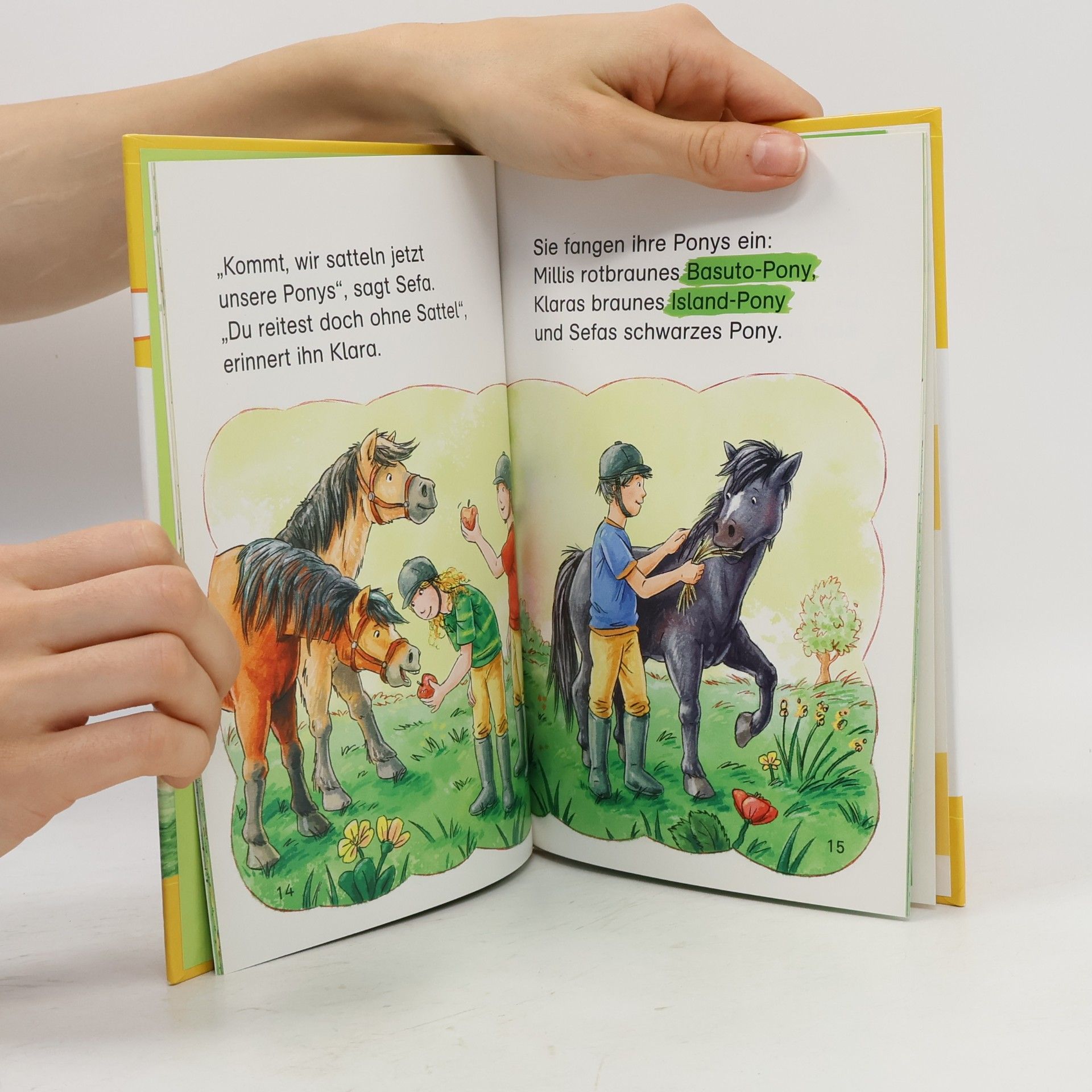 Sabine Rahn Die kleinen Lesedrachen, Der unsichtbare Pony-Club, 1. Lesestufe, ab 1. Klasse für Leseanfänger