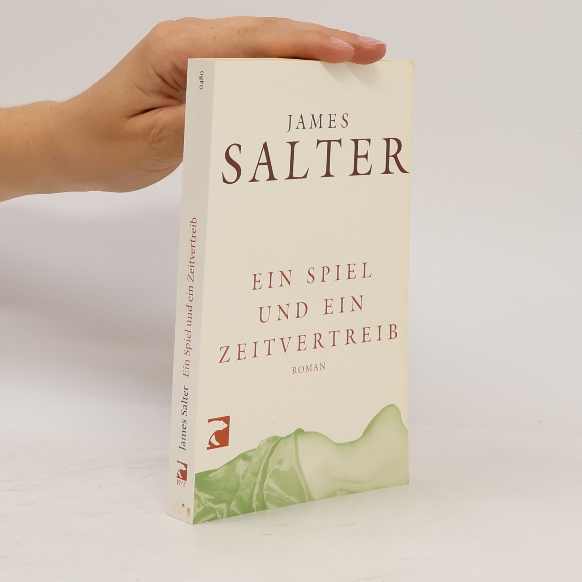 James Salter Ein Spiel und ein Zeitvertreib