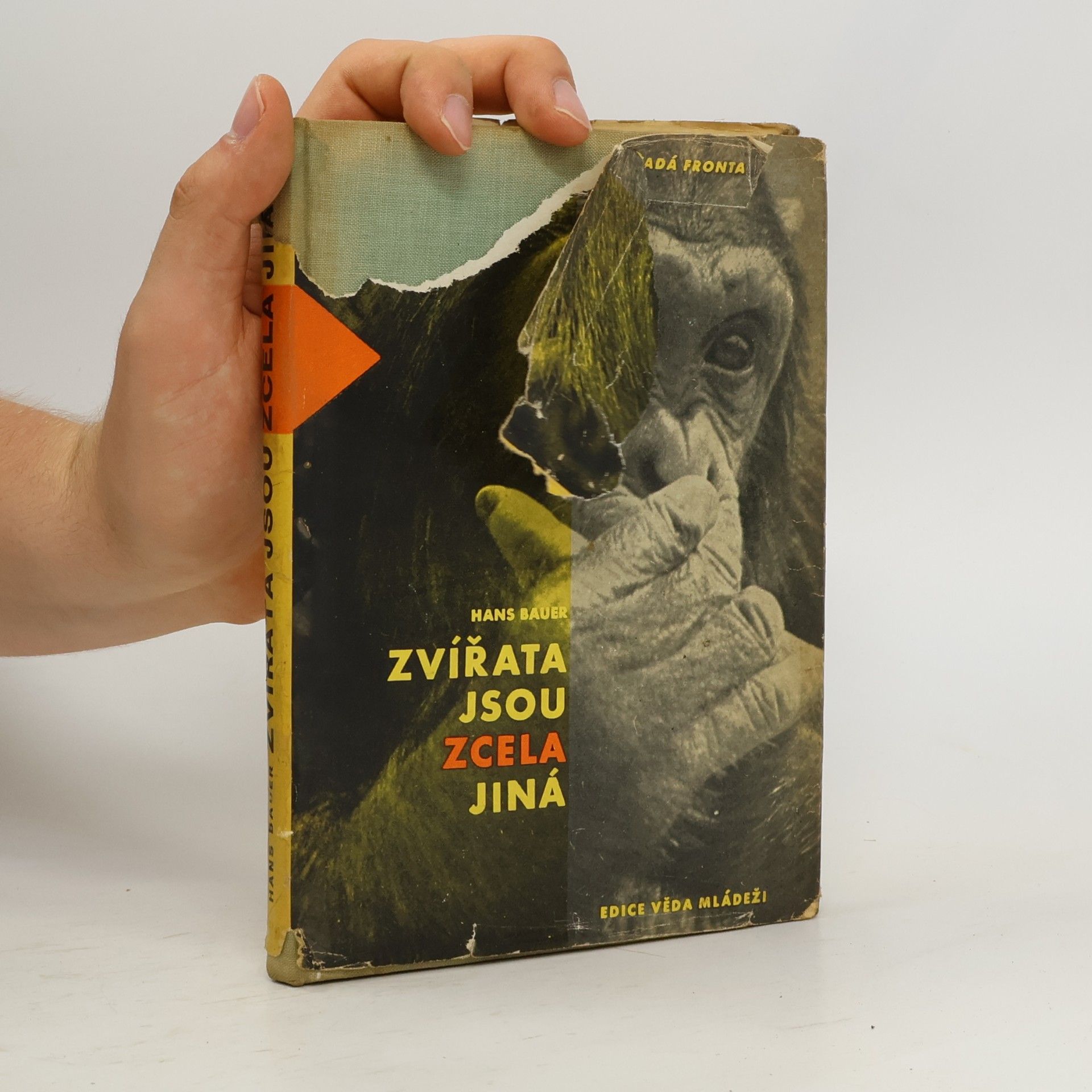 Hana Žantovská Zvířata jsou zcela jiná