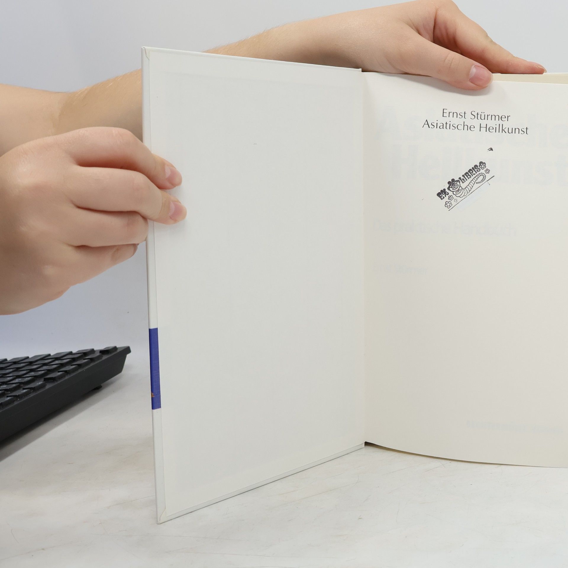 Ernst Stürmer Asiatische Heilkunst