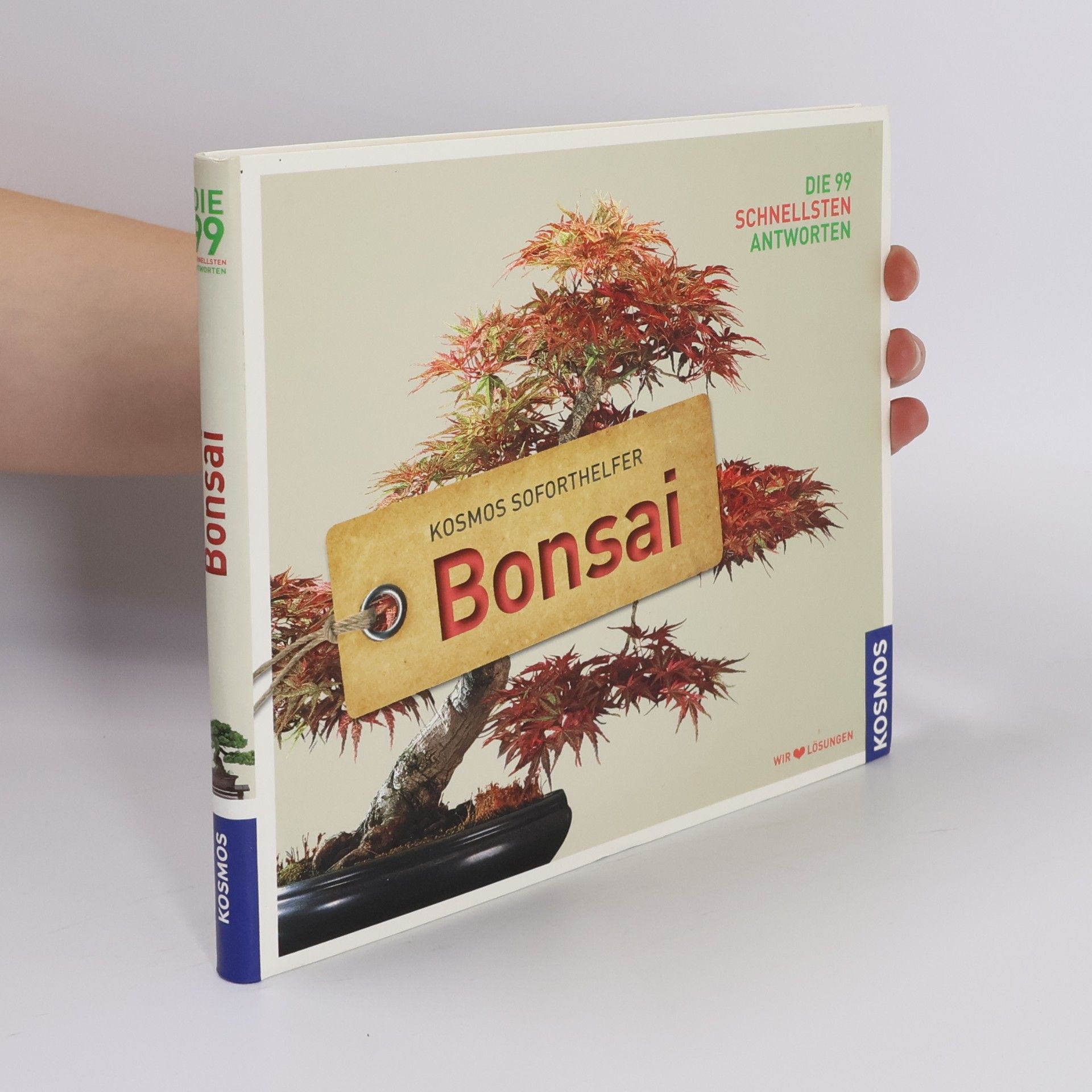 Annegret Rüger Soforthelfer Bonsai