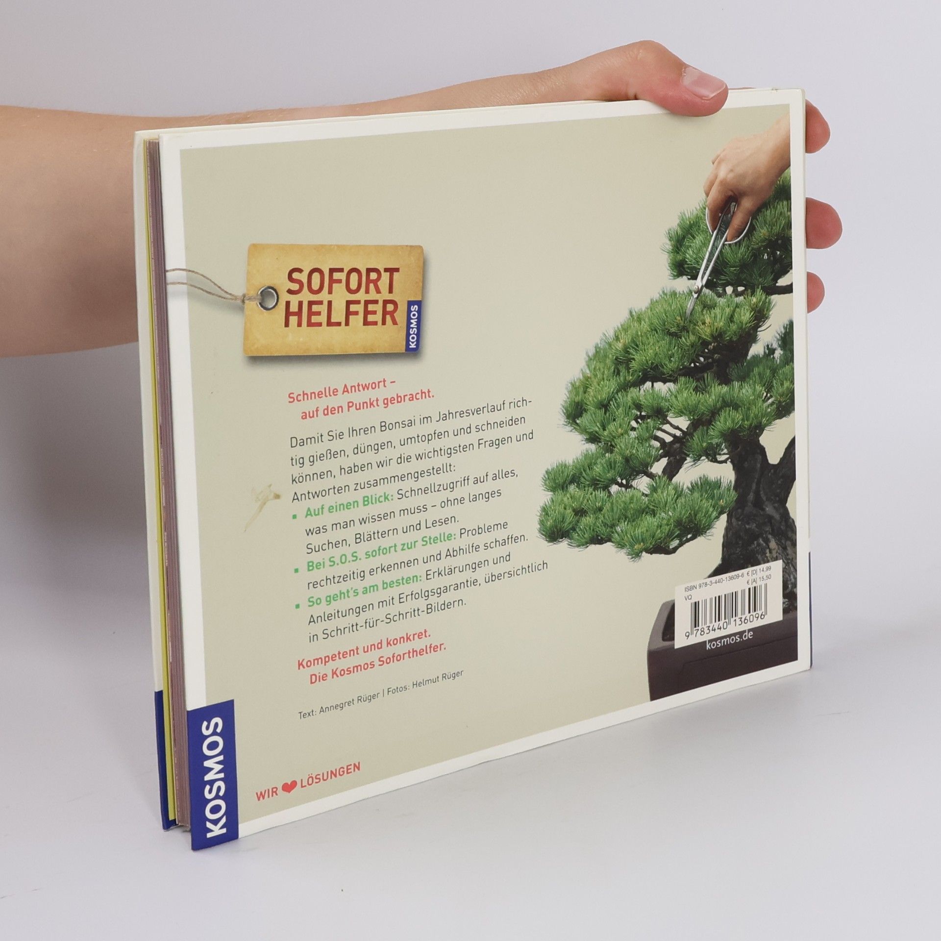 Annegret Rüger Soforthelfer Bonsai
