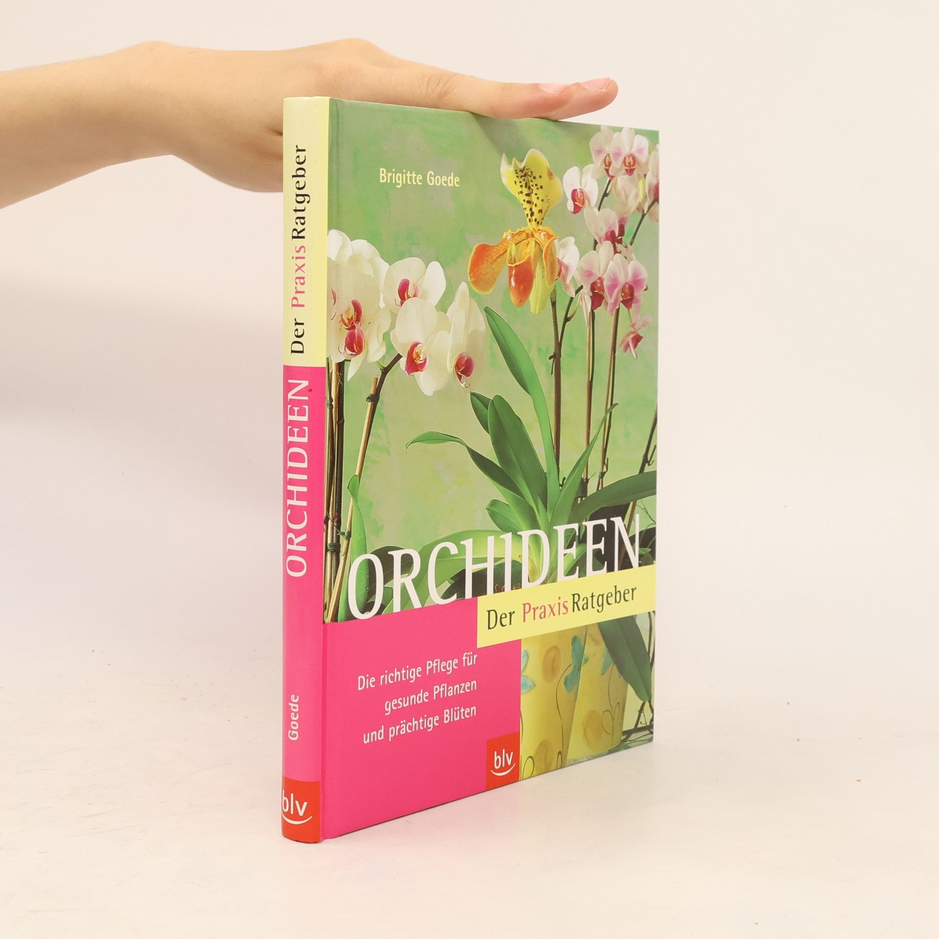 Brigitte Goede Orchideen