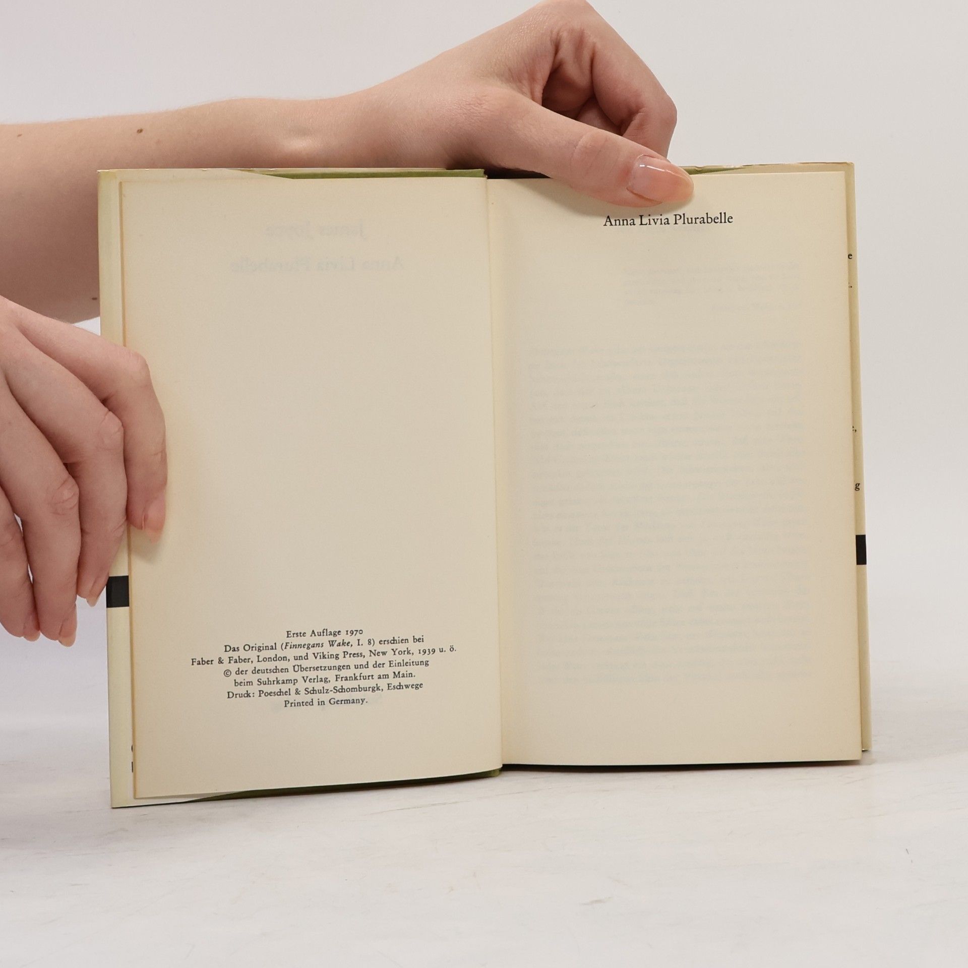 James Joyce Anna Livia Plurabelle