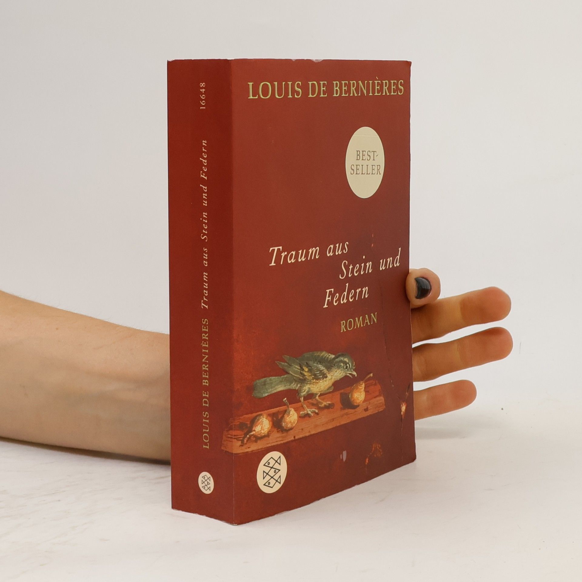 Louis de Bernières Traum aus Stein und Federn