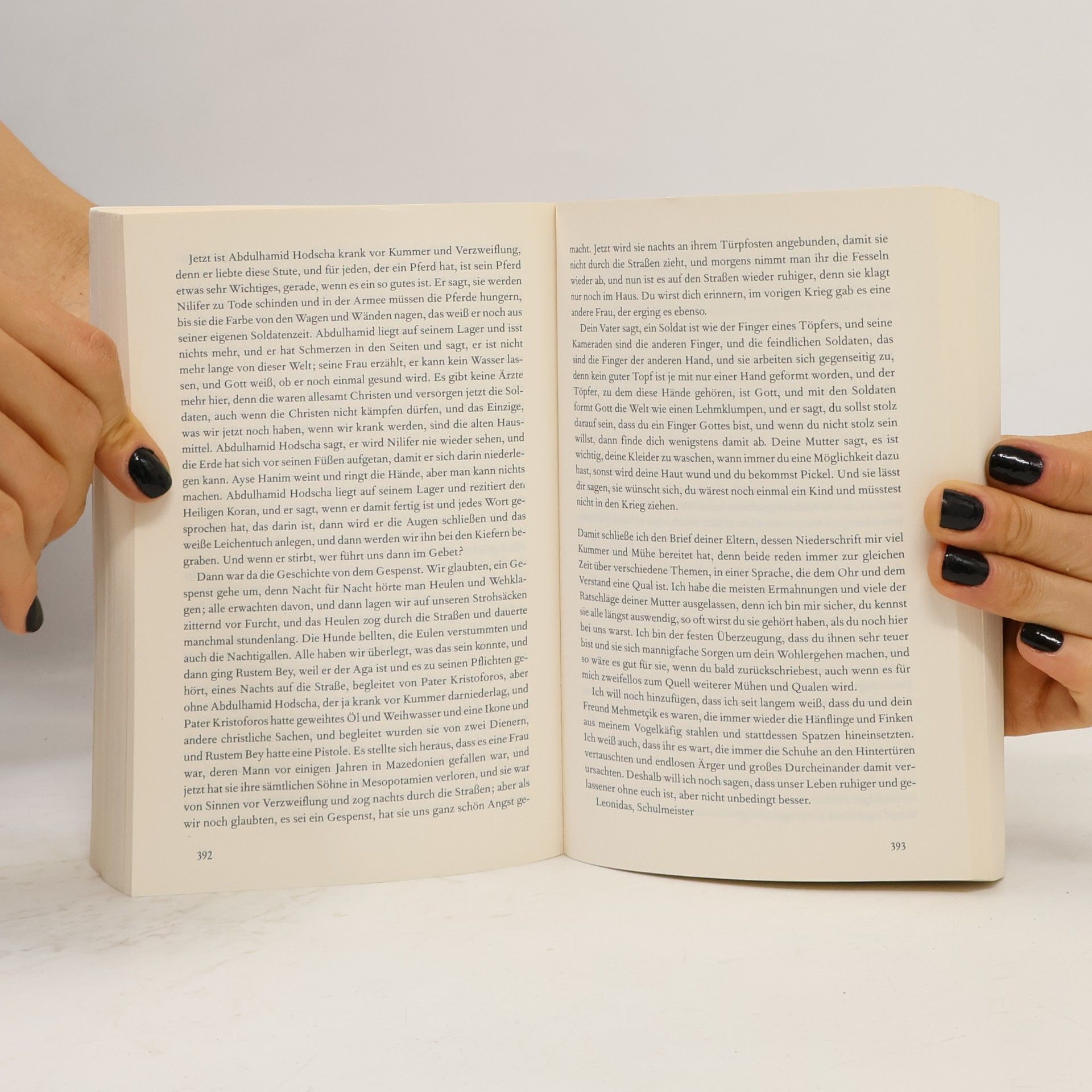 Louis de Bernieres Traum aus Stein und Federn