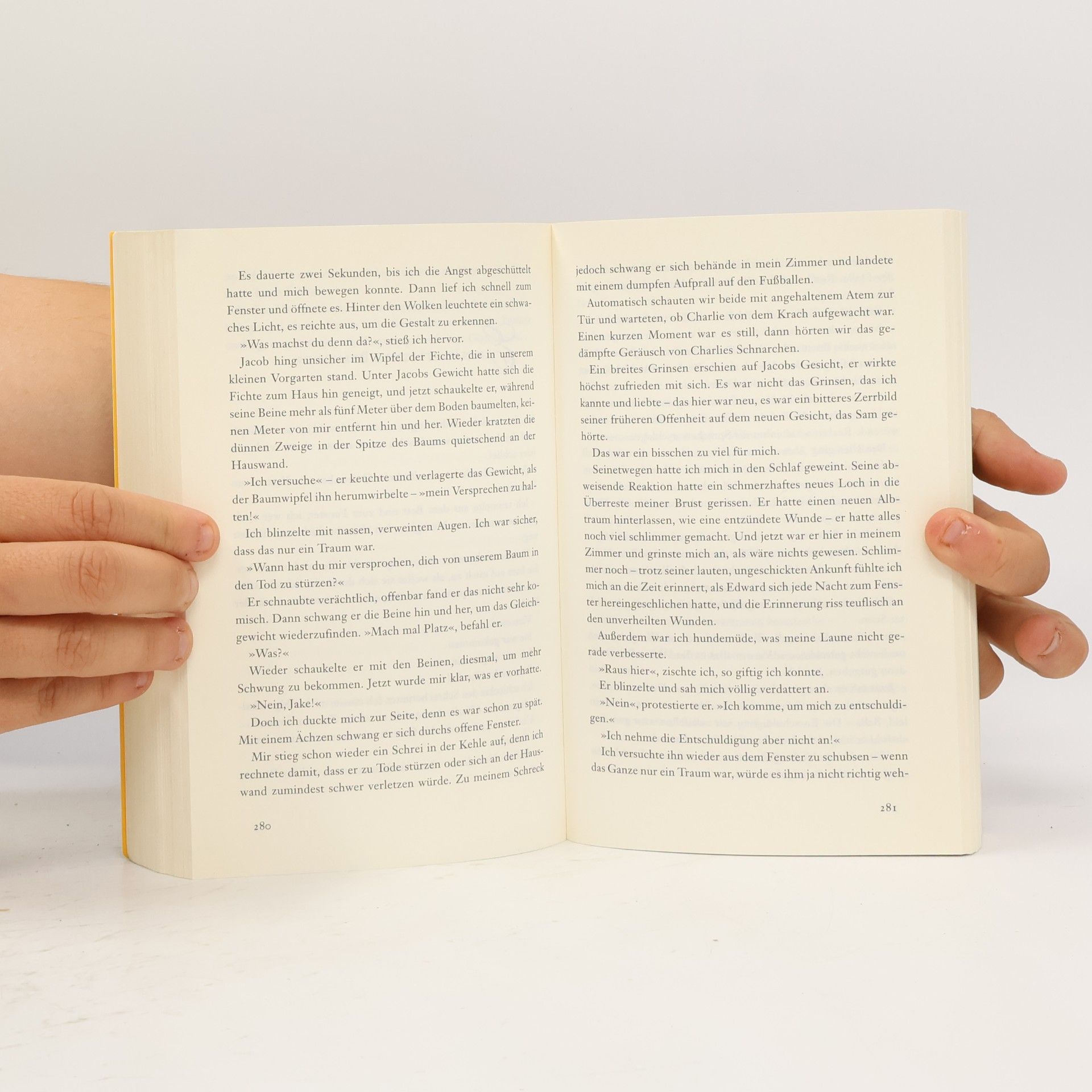 Stephenie Meyer Biss zur Mittagsstunde