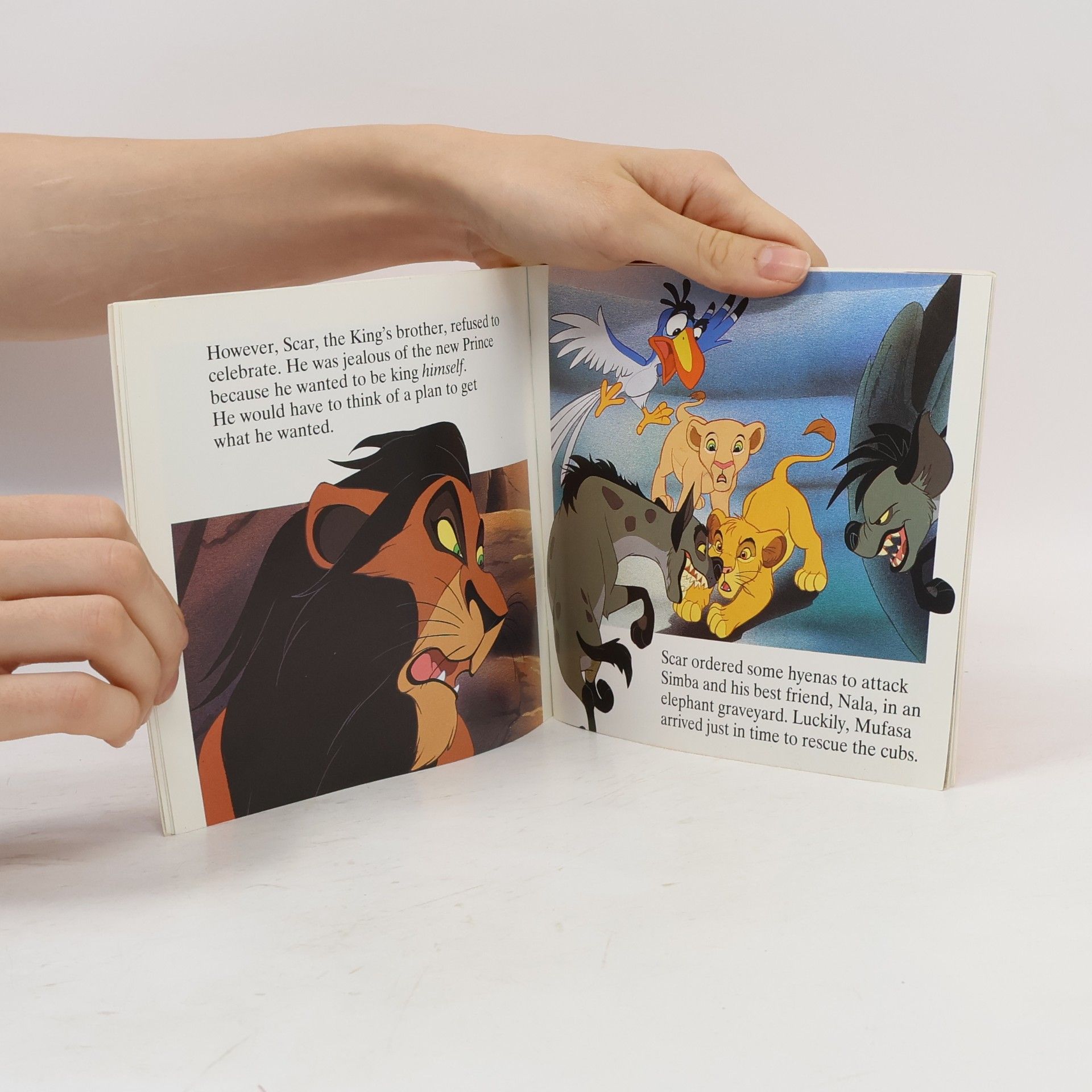 Walter Elias Disney The Lion King