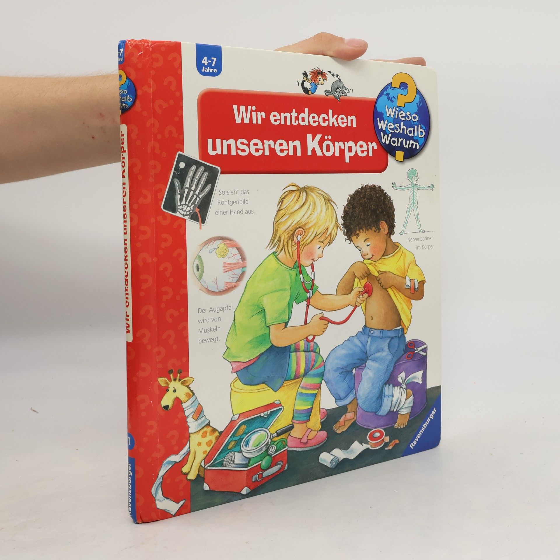Doris Rübel Wir entdecken unseren Körper