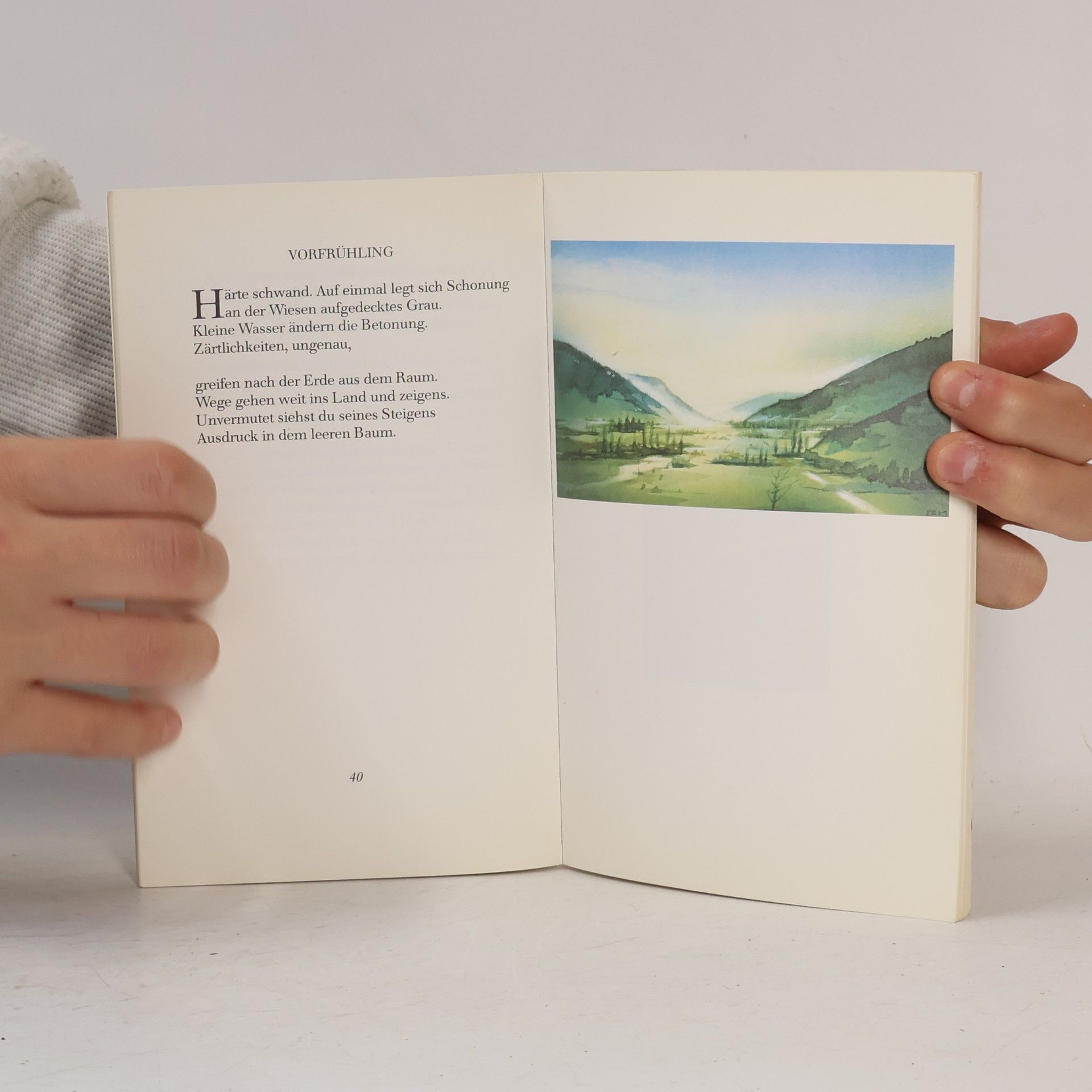 Regina Richter Rilkes Landschaft