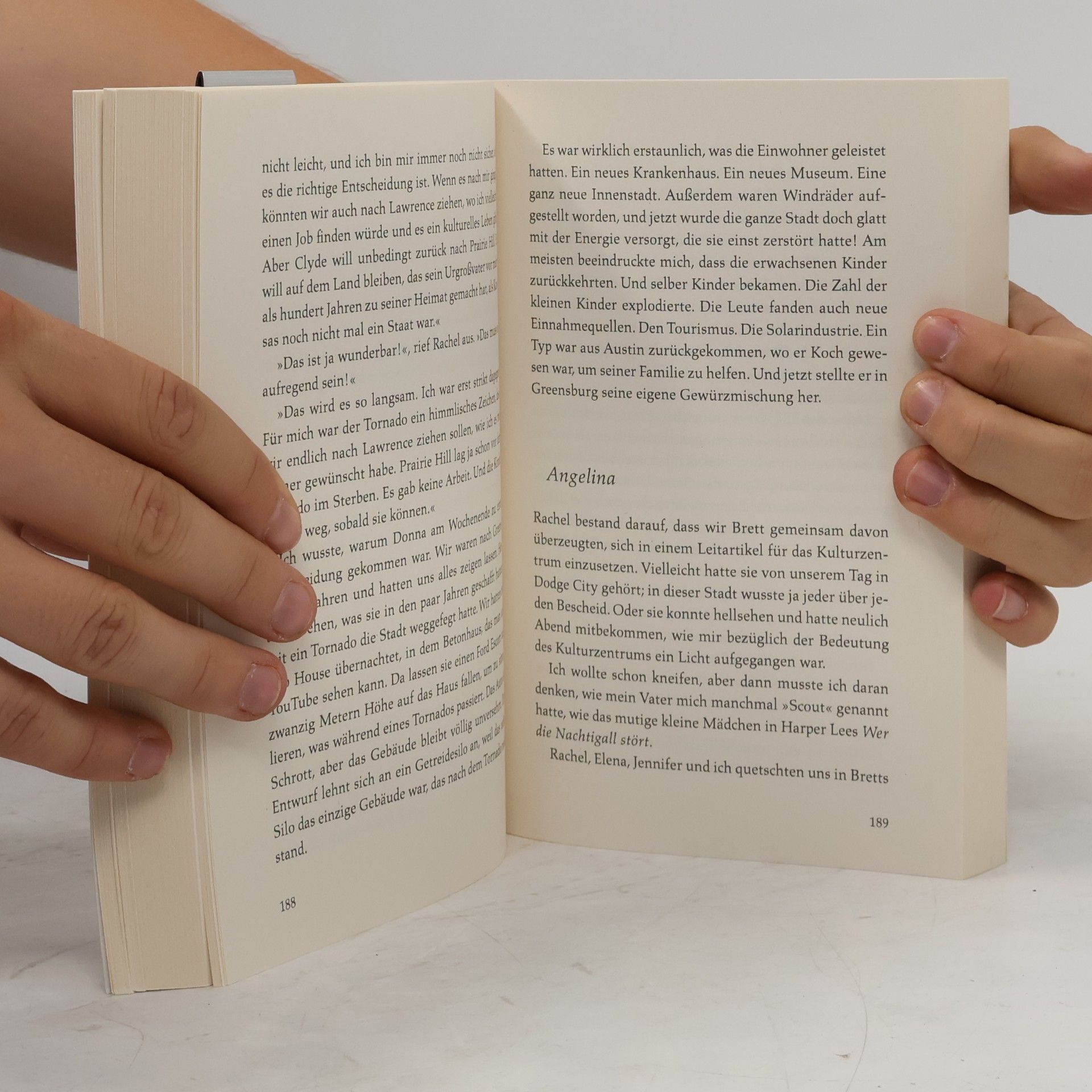 Romalyn Tilghman Die Bücherfrauen