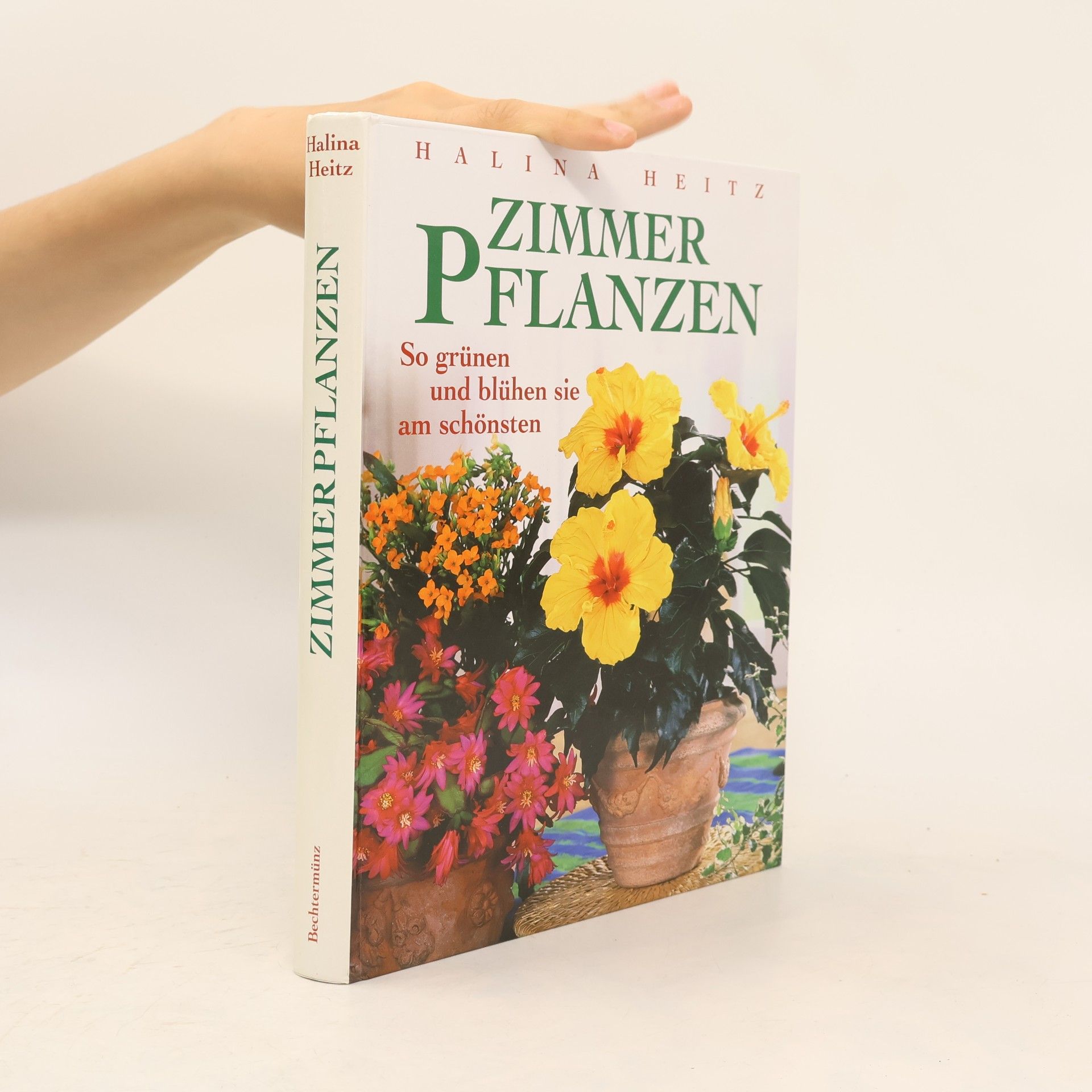Halina Heitz Zimmerpflanzen