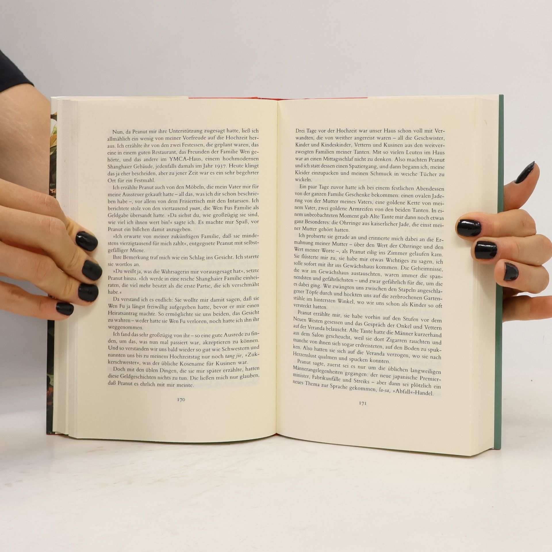 Amy Tan Die Frau des Feuergottes