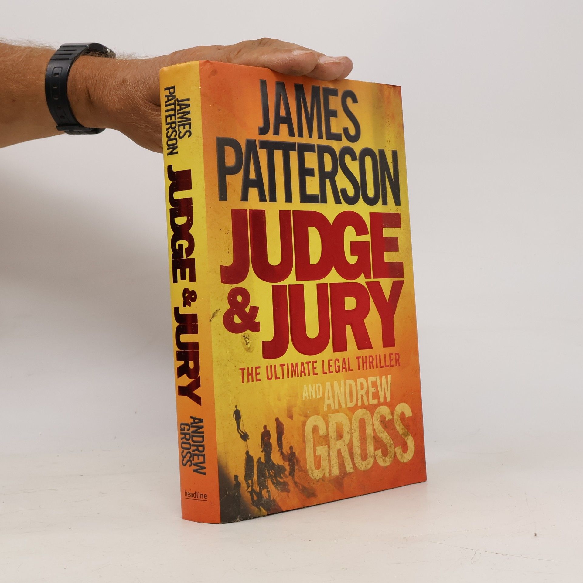 Andrew Gross Judge & Jury