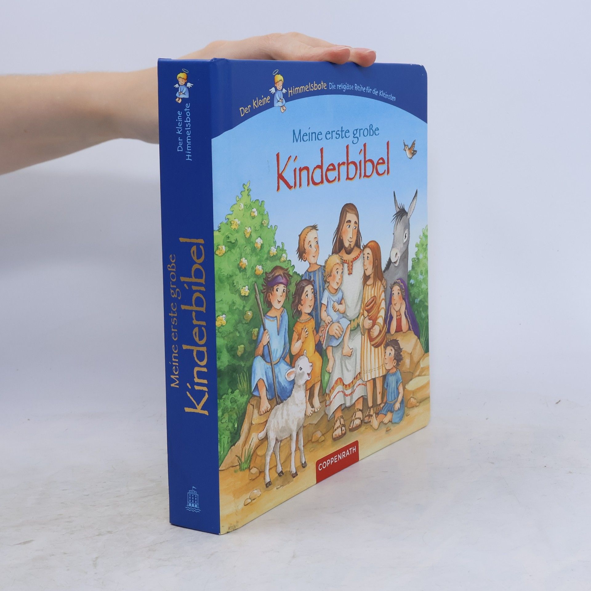 Erwin Grosche Meine erste große Kinderbibel