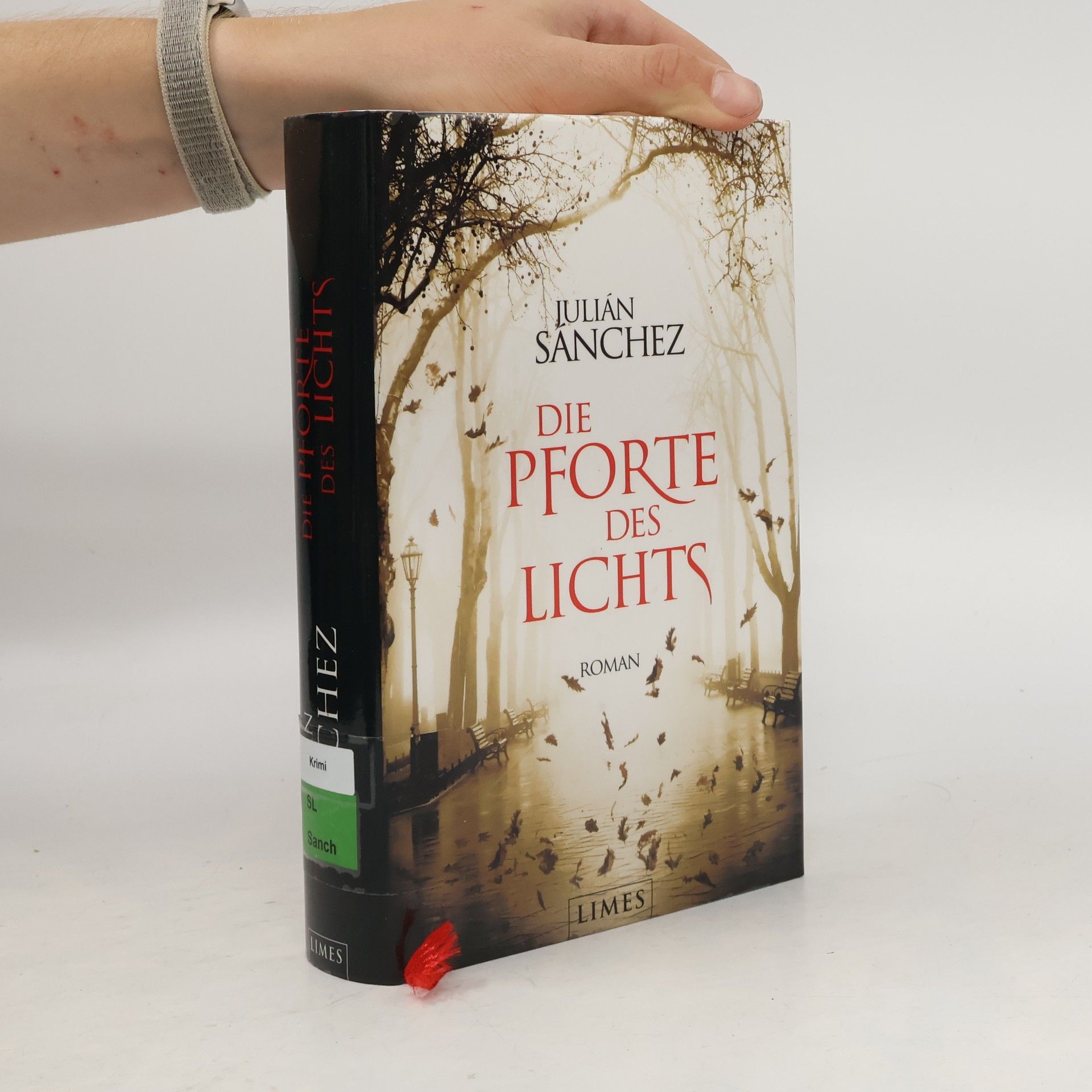 Julián Sánchez Die Pforte des Lichts