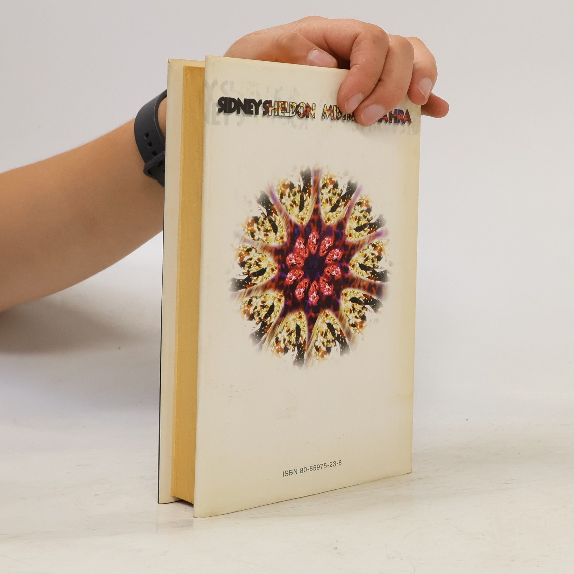Sidney Sheldon Mistrovská hra
