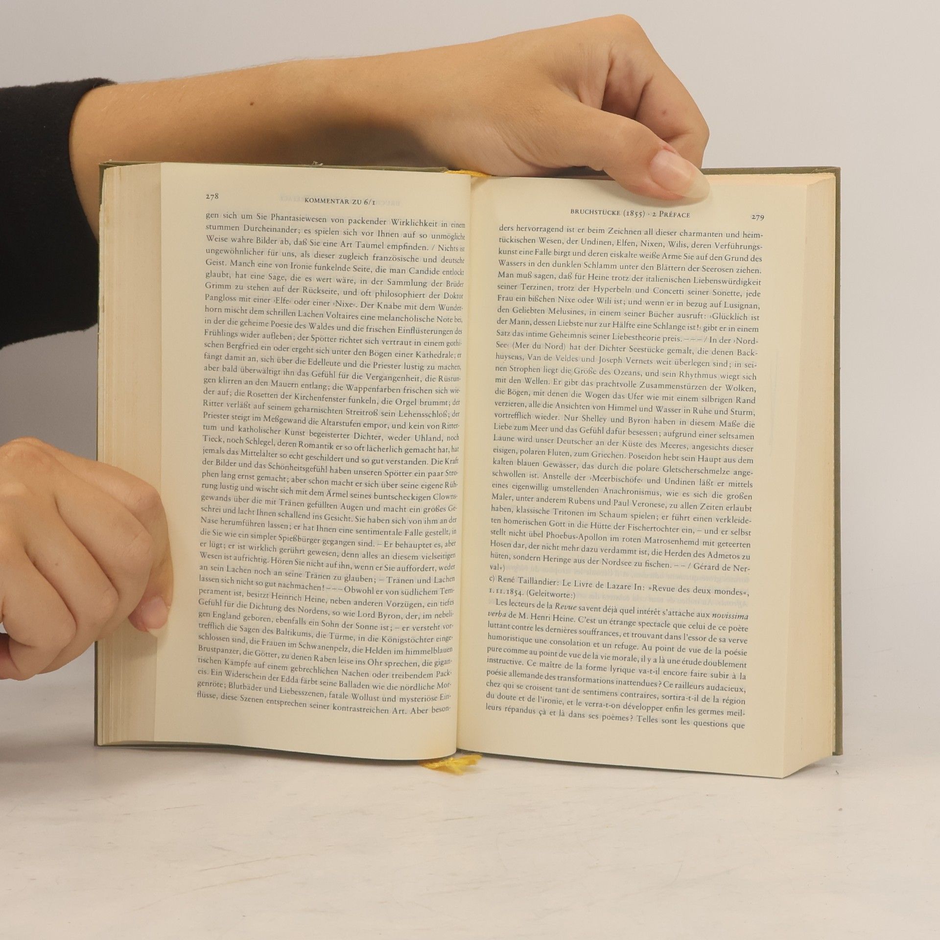 Heinrich Heine Sämtliche Schriften Band VI