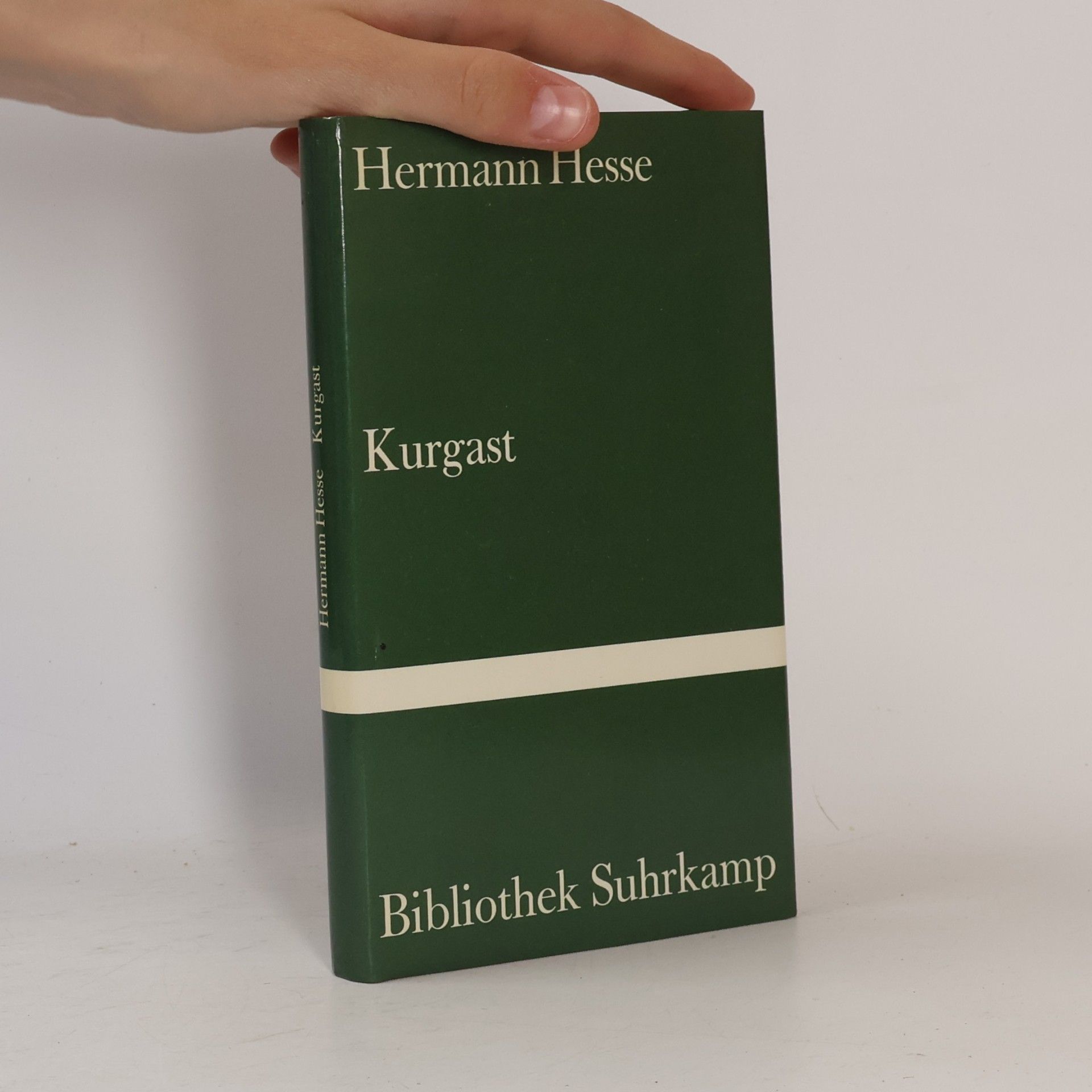 Hermann Hesse Kurgast
