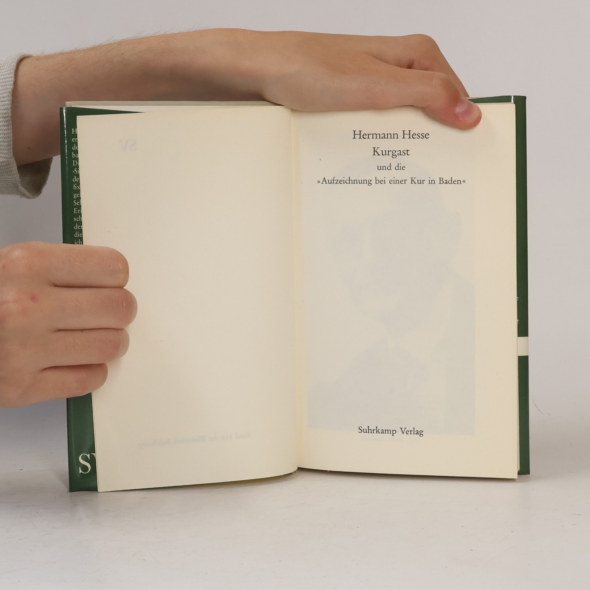 Hermann Hesse Kurgast