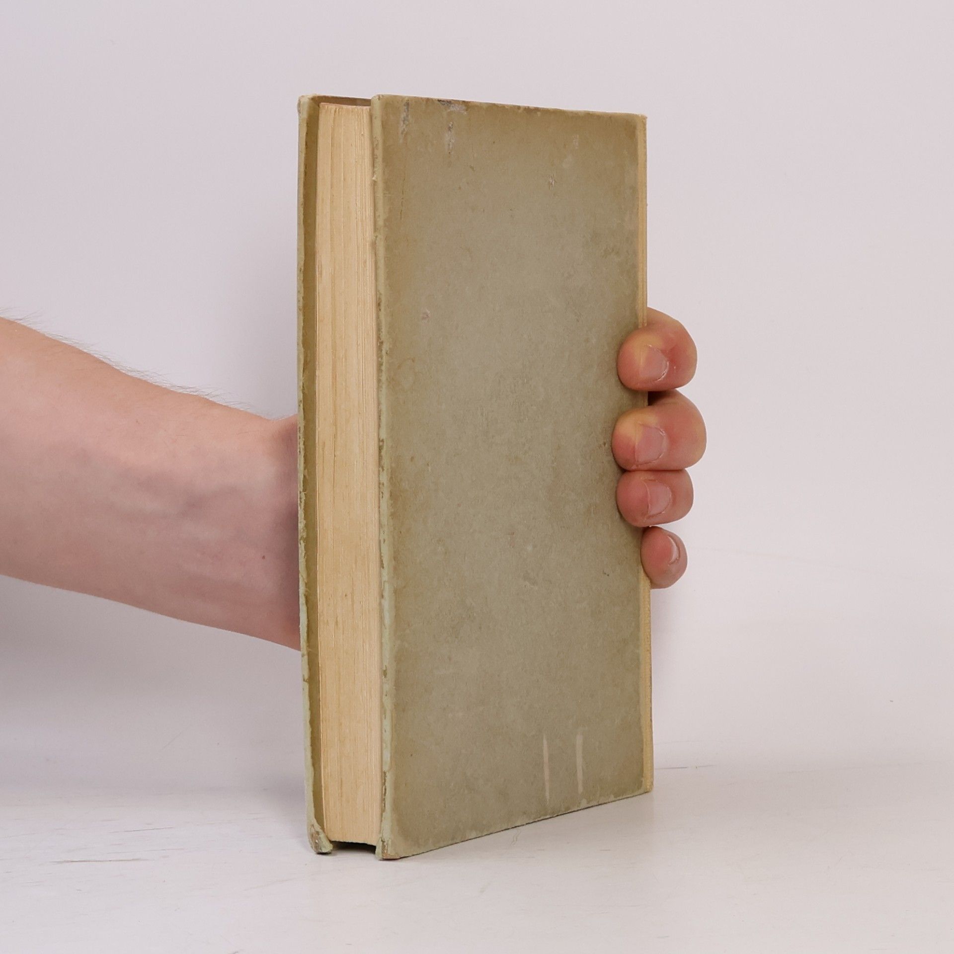 Abbé Prévost Die Liebesgeschichte der Manon Lescaut