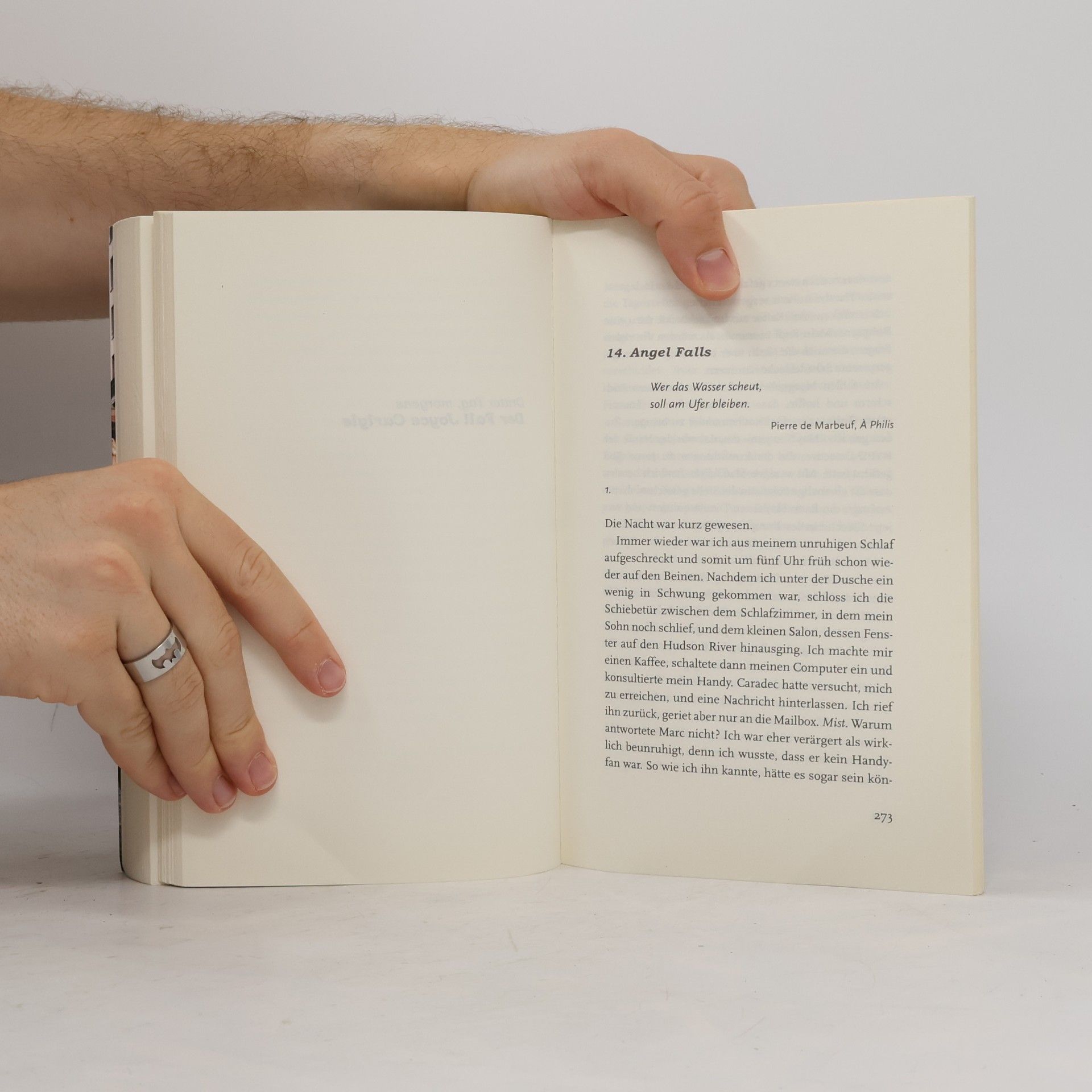 Guillaume Musso Das Mädchen aus Brooklyn